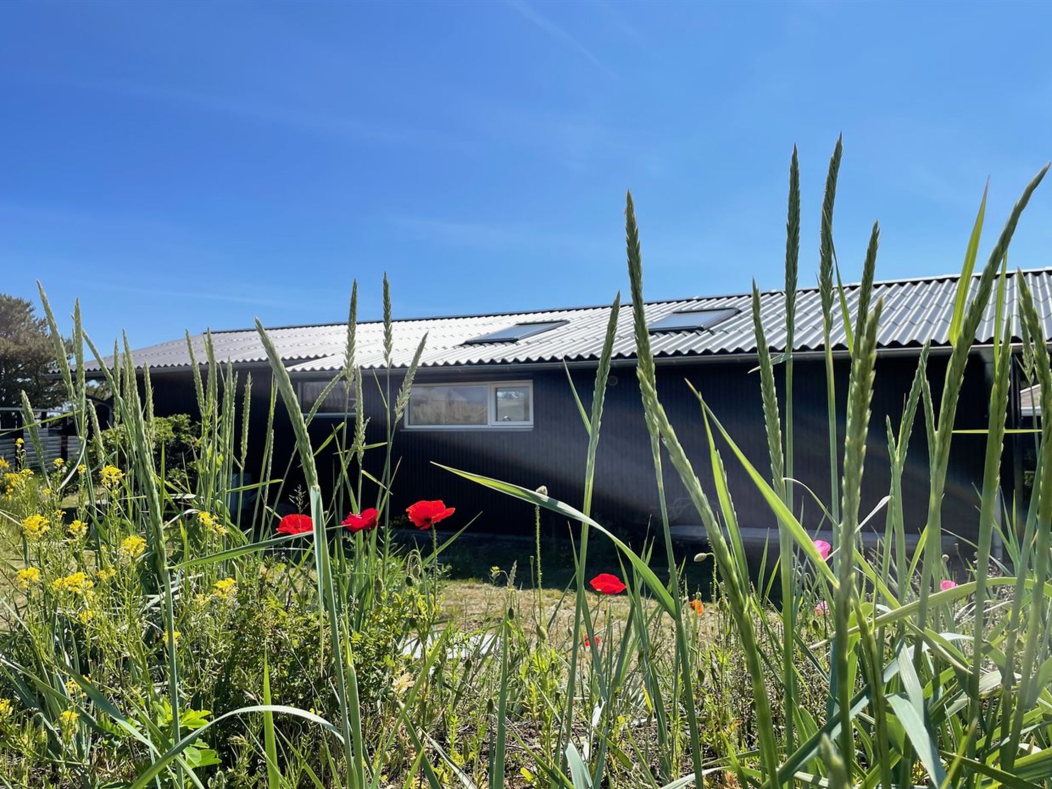 "Selle" - 100m from the sea - Dehors