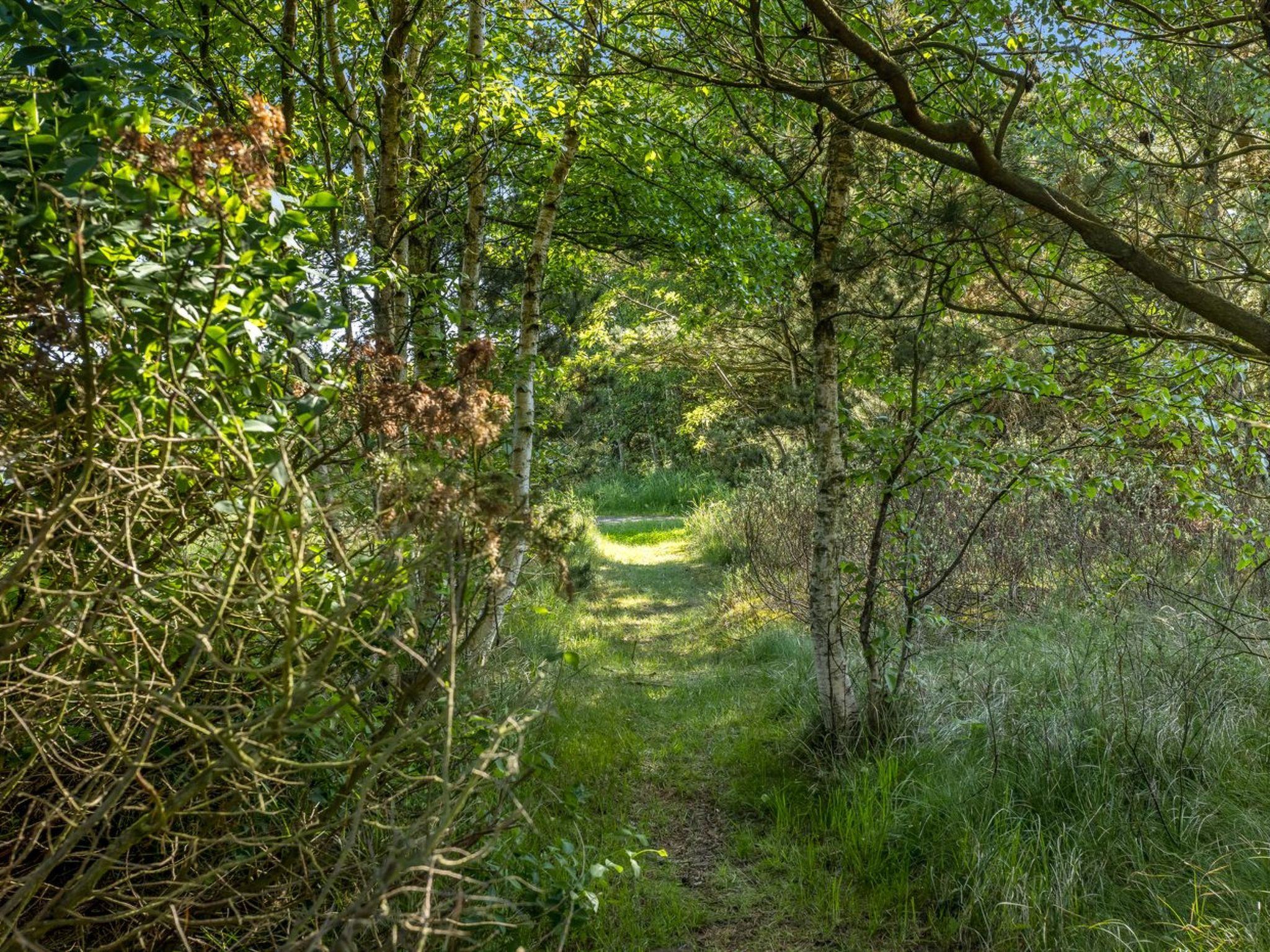 "Einette" - 100m from the sea - Buiten
