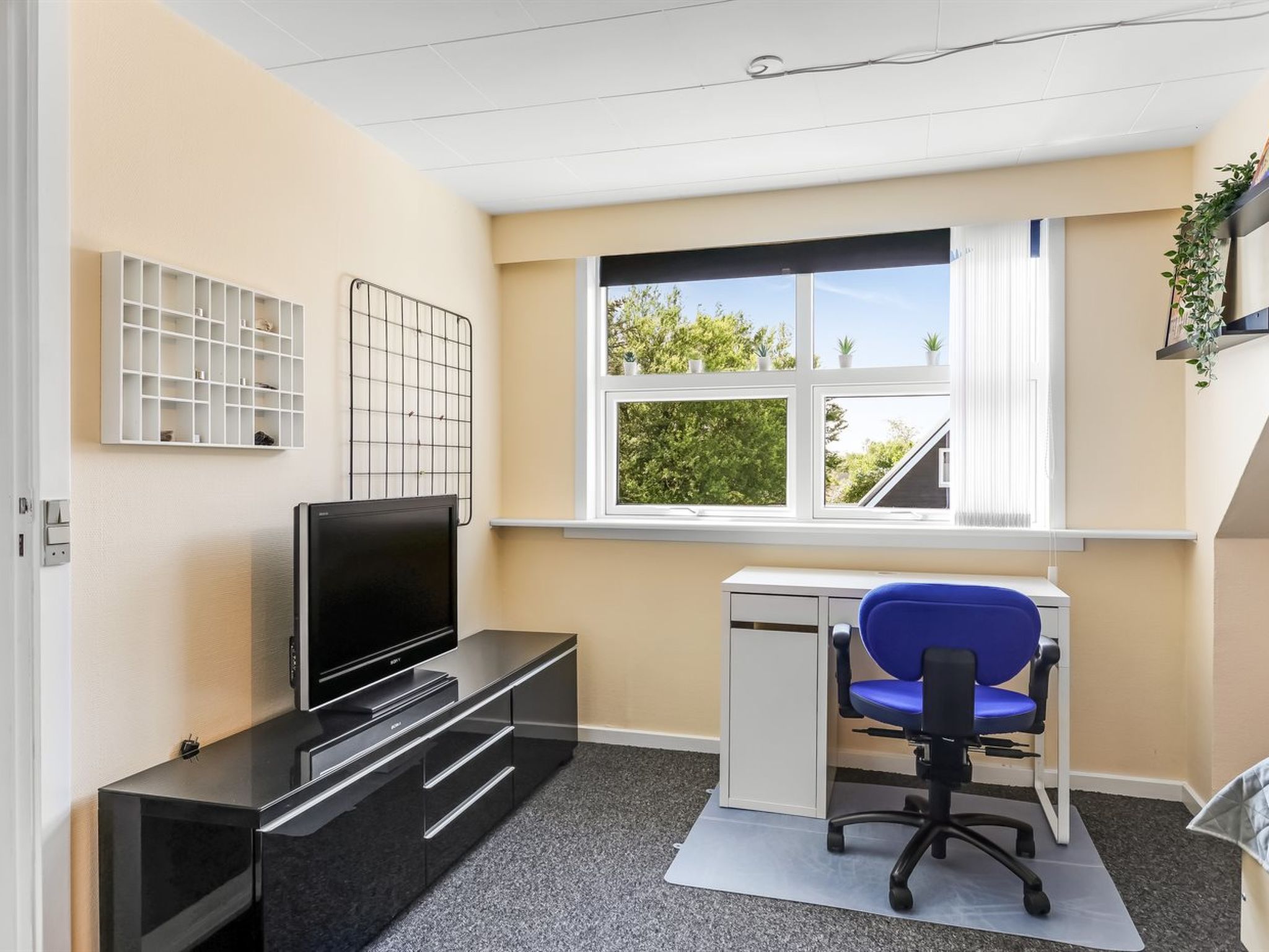 "Veronica" - 700m from the sea