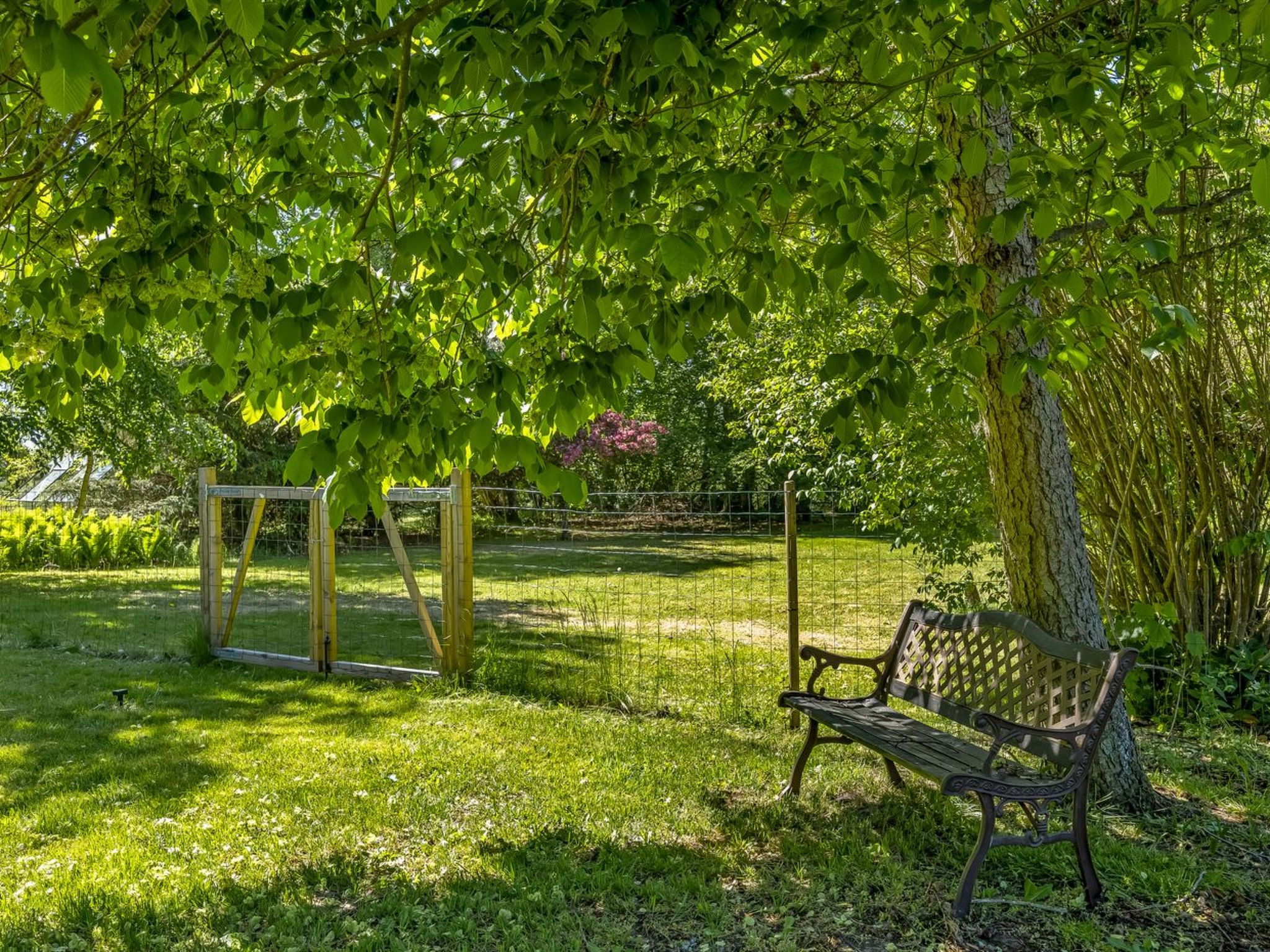 "Gunnil" - 400m from the sea - Dehors