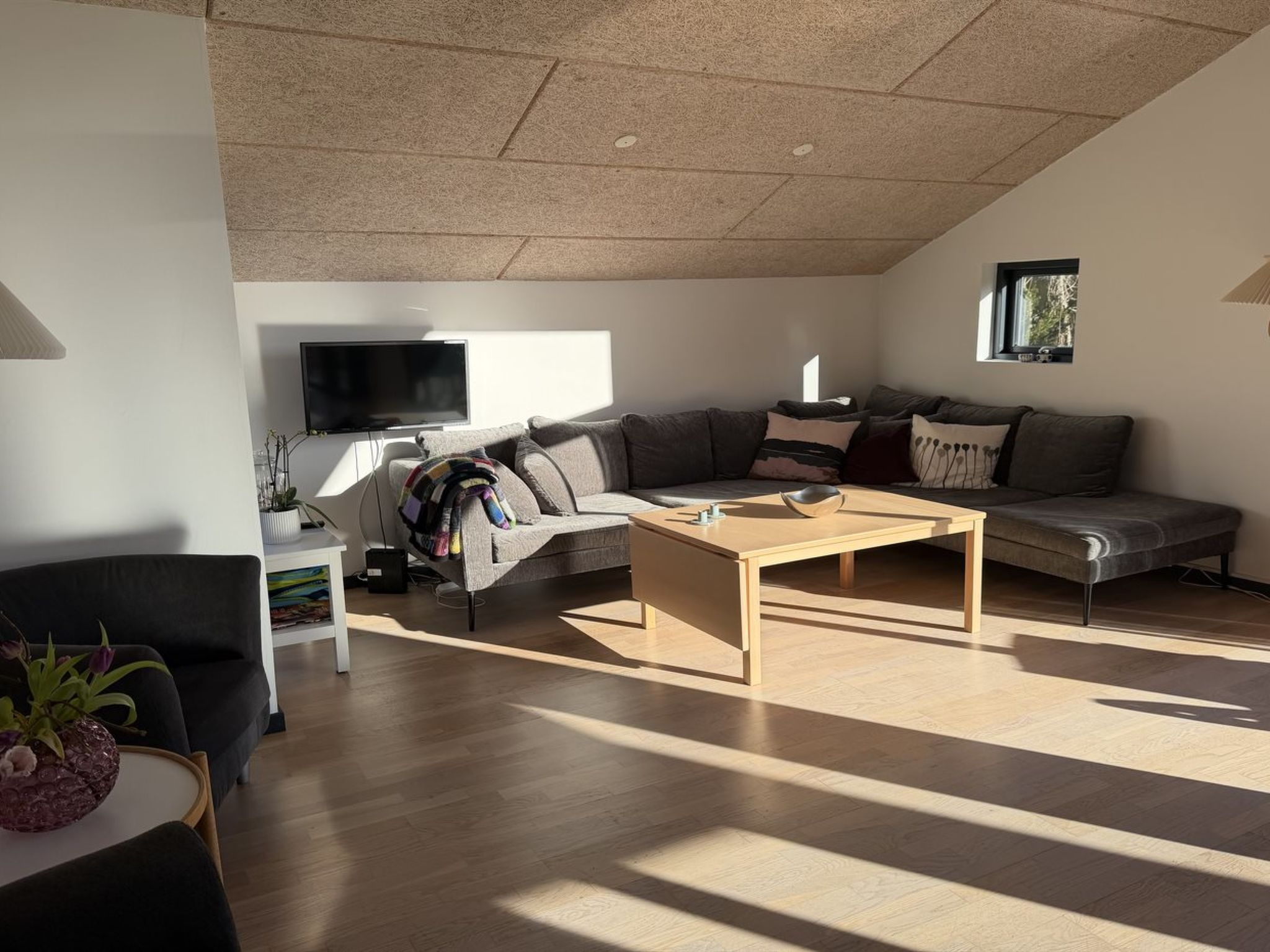 Photo of "Anttoni" - 350m from the sea