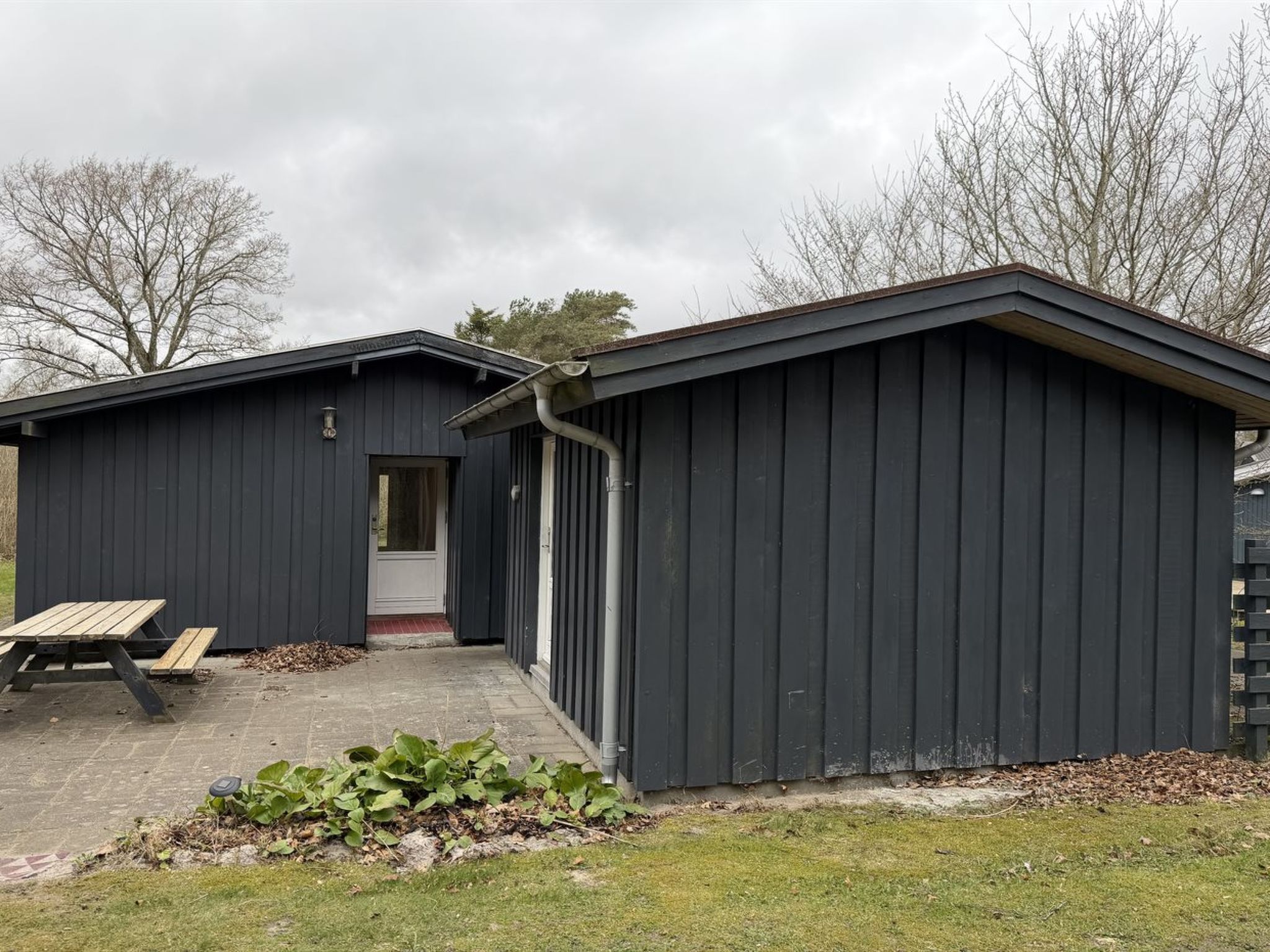 Photo of "Julika" - 560m from the sea