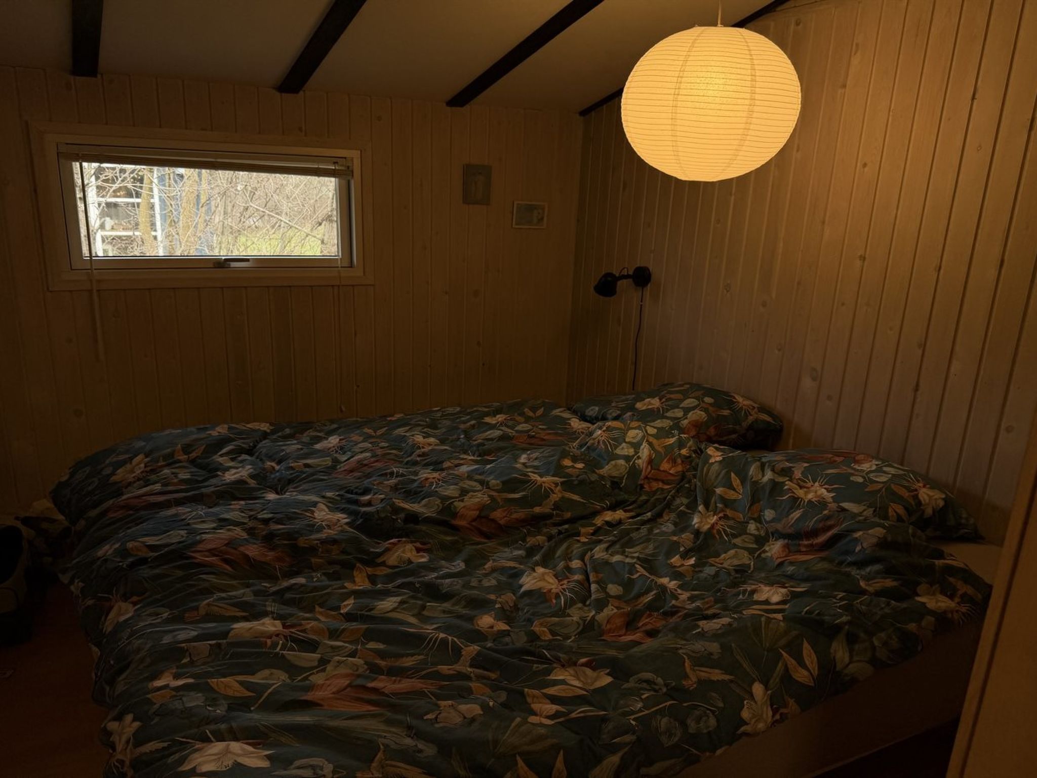 Photo of "Julika" - 560m from the sea