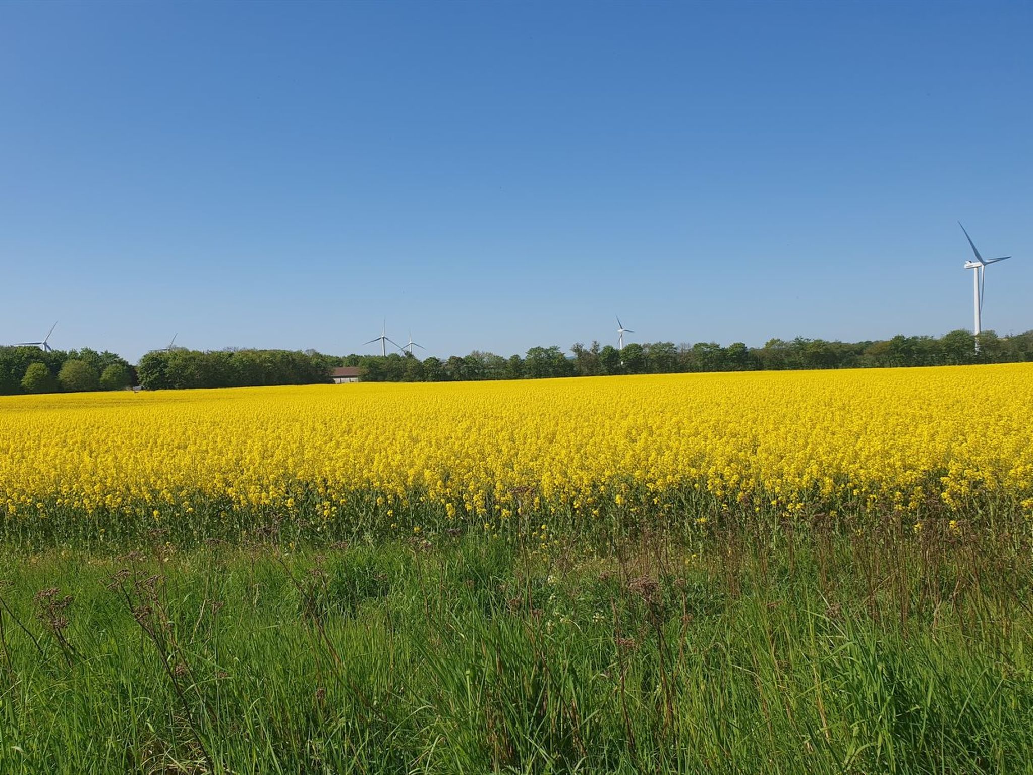 "Gundula" - 1.3km from the sea - Buiten