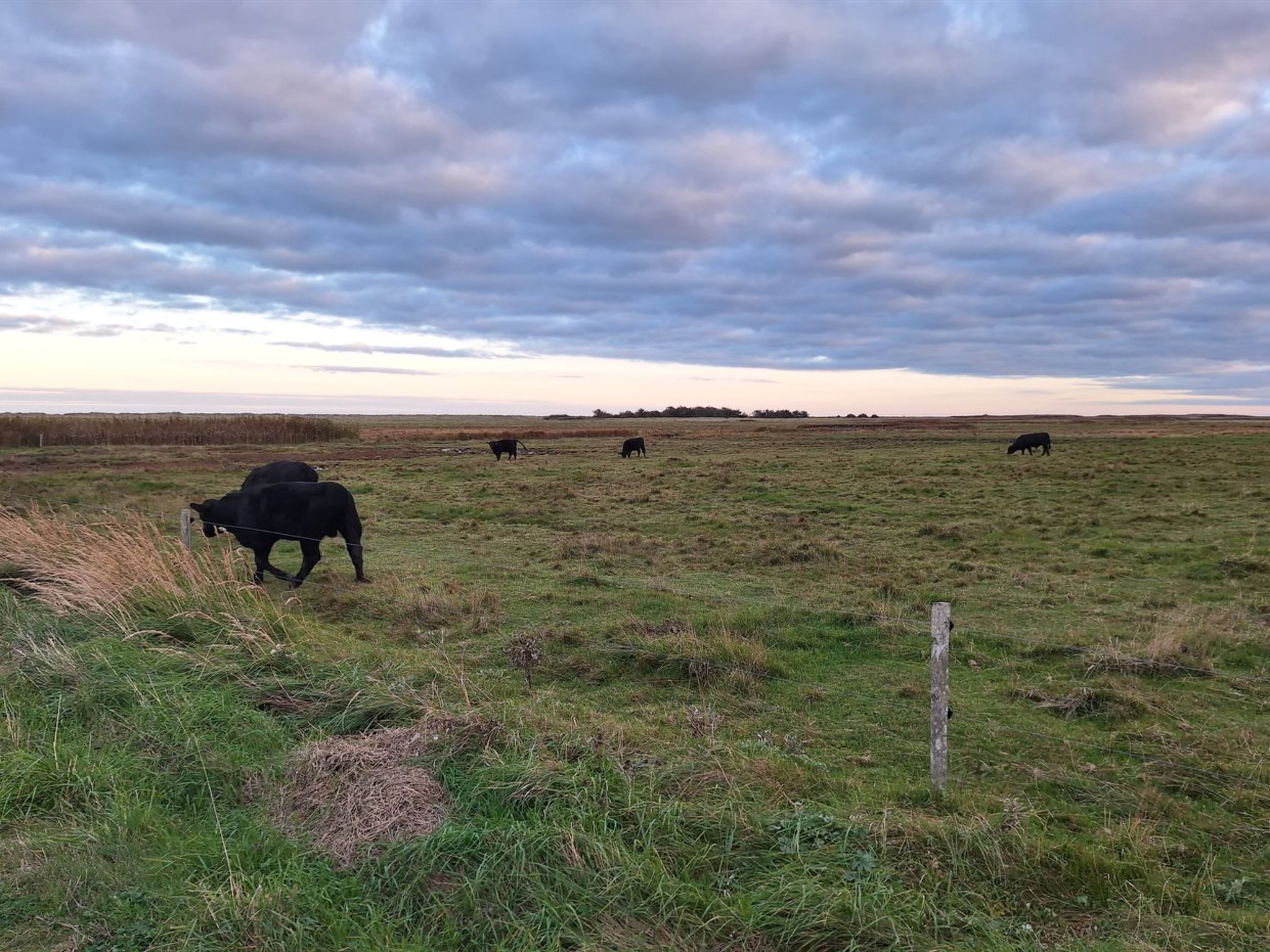 "Gundula" - 1.3km from the sea - Buiten