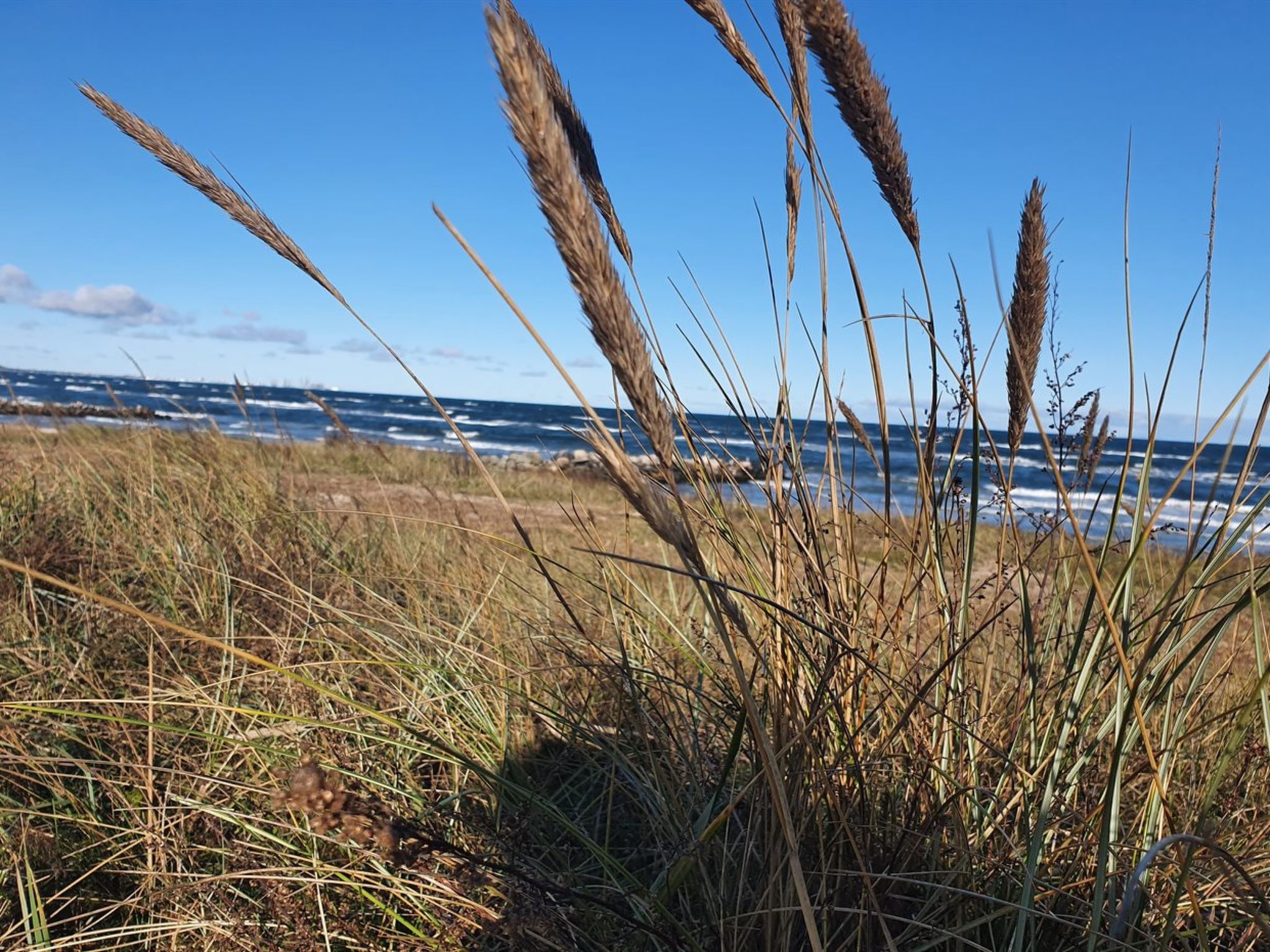 "Gundula" - 1.3km from the sea - Buiten