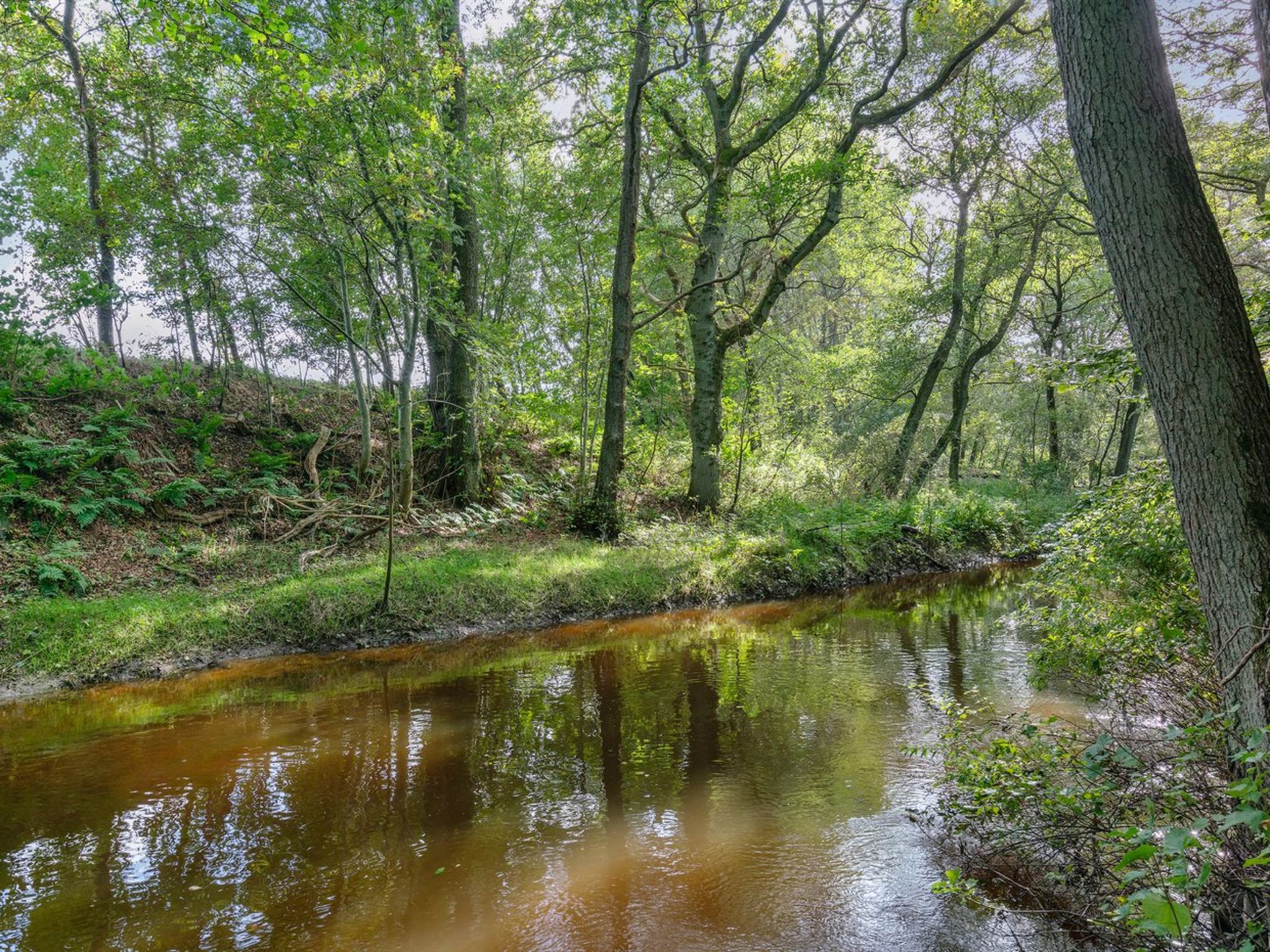 "Arnborg" - 2km from the sea - Buiten