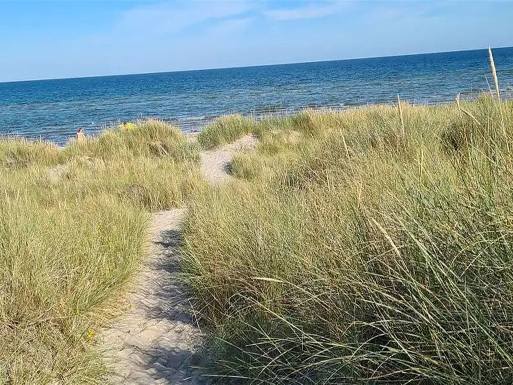 "Benja" -  from the sea - Draußen