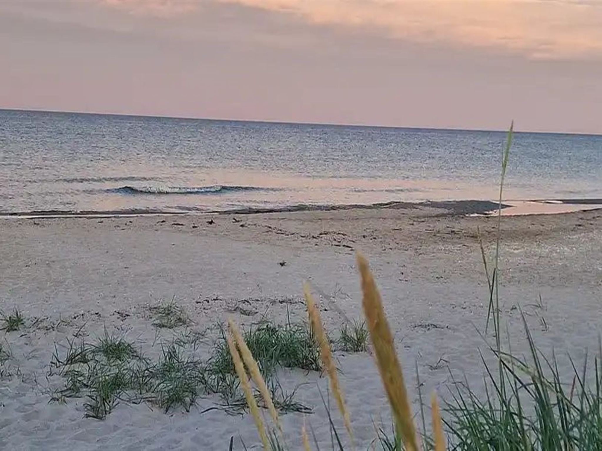"Benja" -  from the sea - Draußen