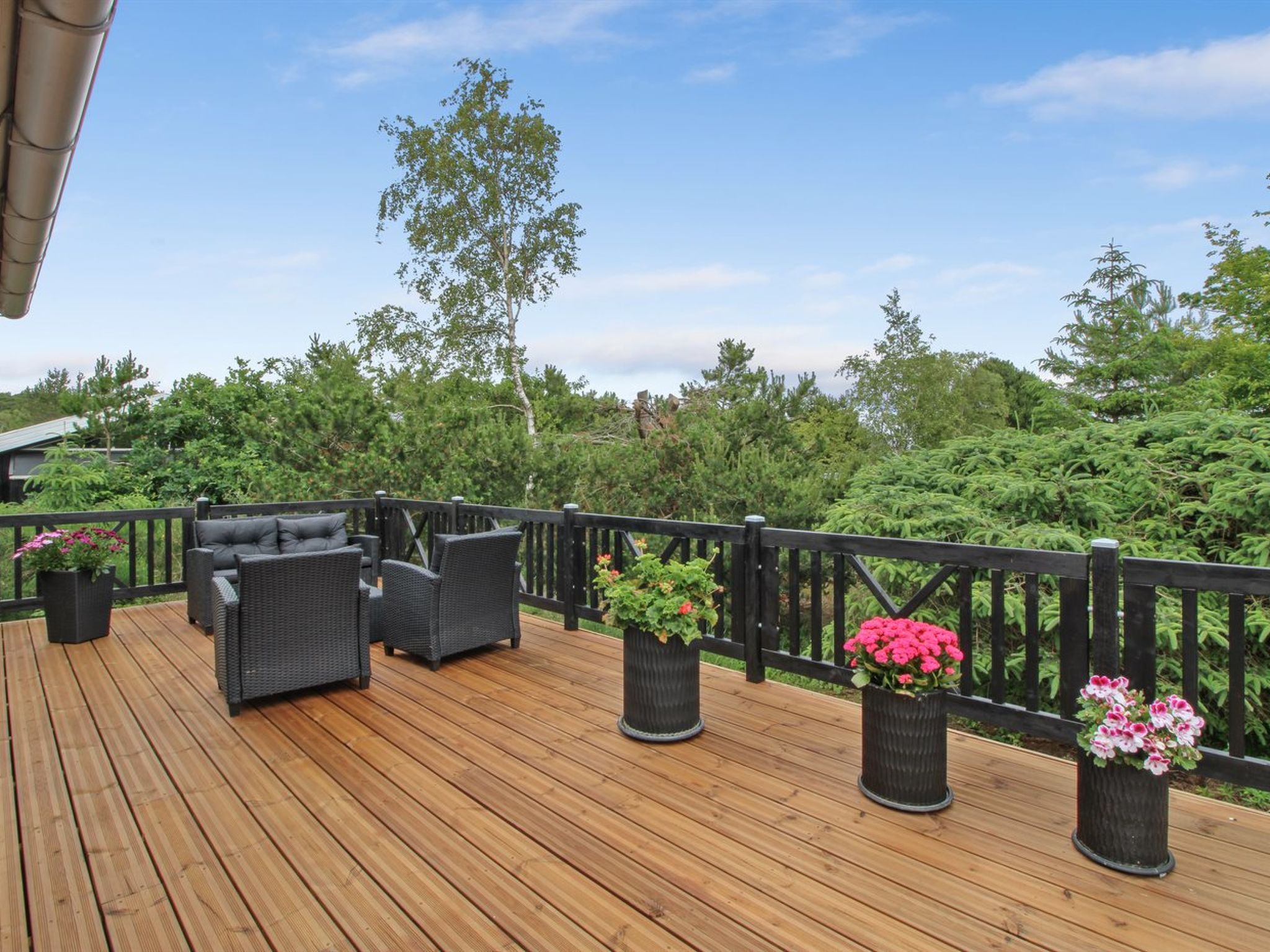 "Flora" - 150m from the sea - Outside