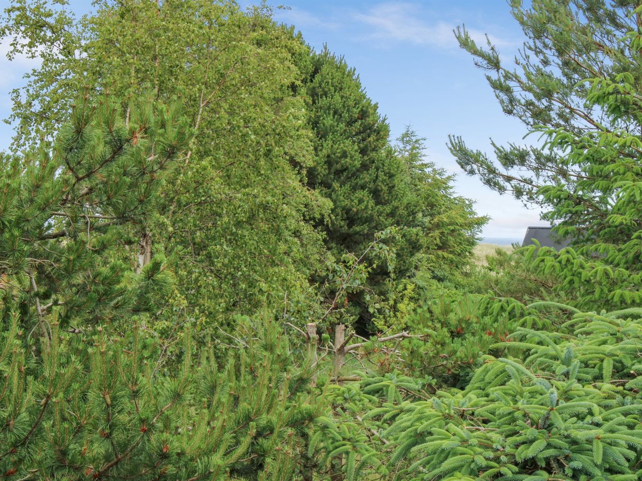 "Flora" - 150m from the sea - Outside
