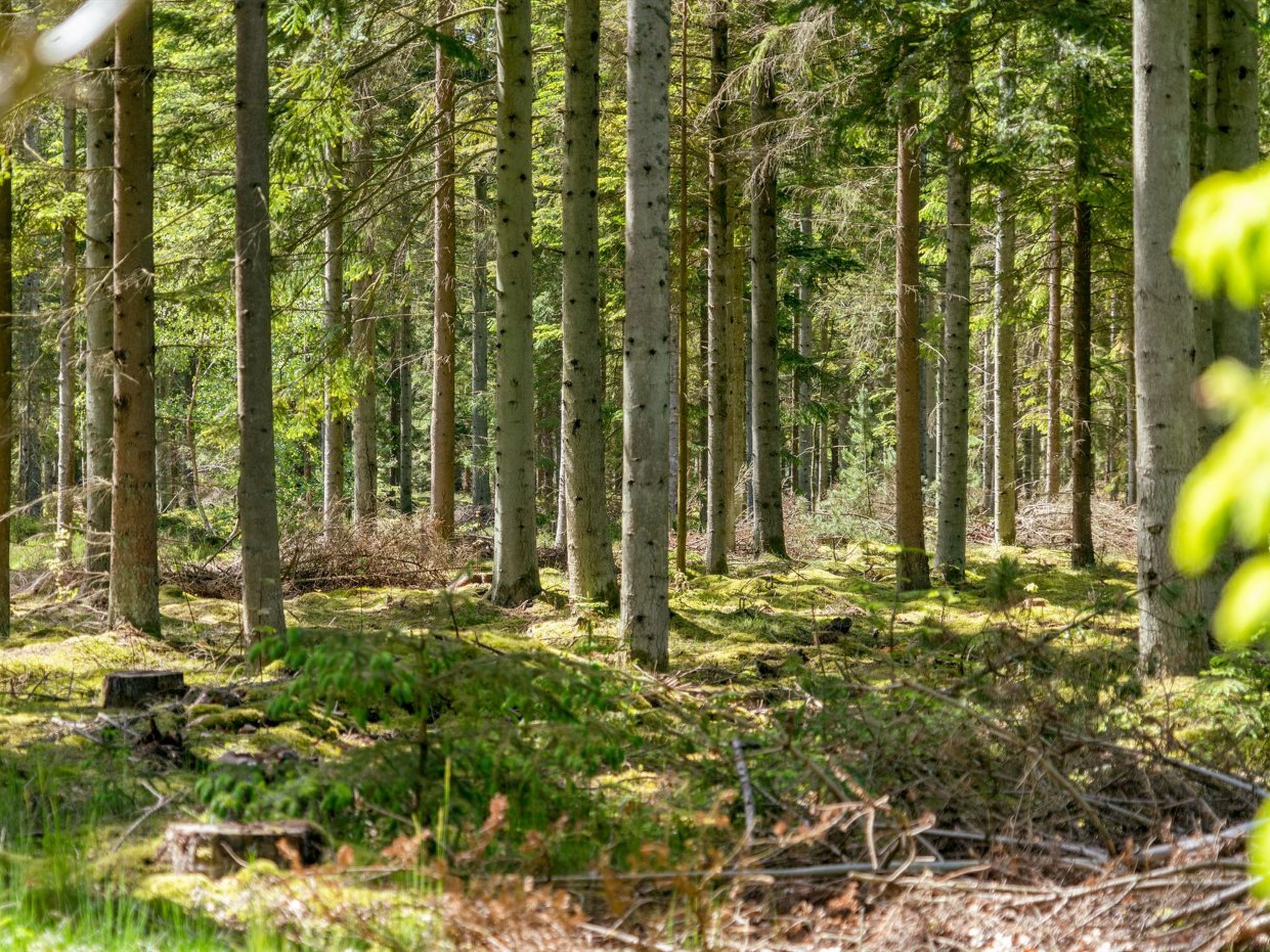 "Sighwith" - 500m from the sea - Buiten