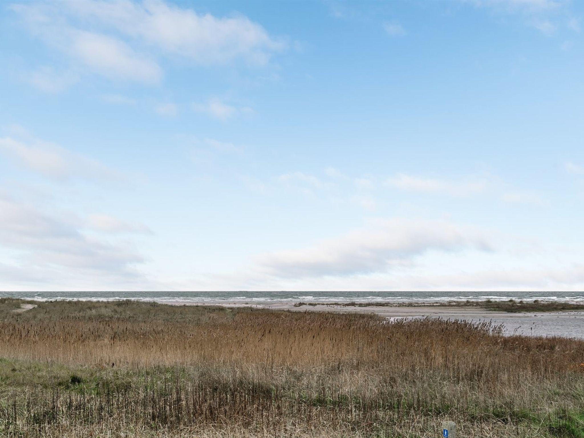 "Timmi" - 100m from the sea