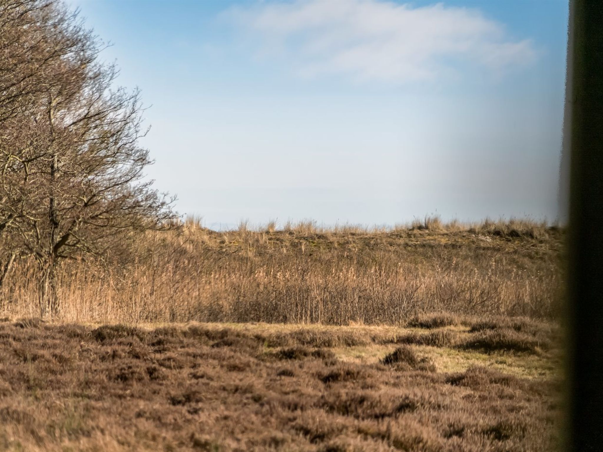 "Jyrki" - 100m from the sea - Buiten
