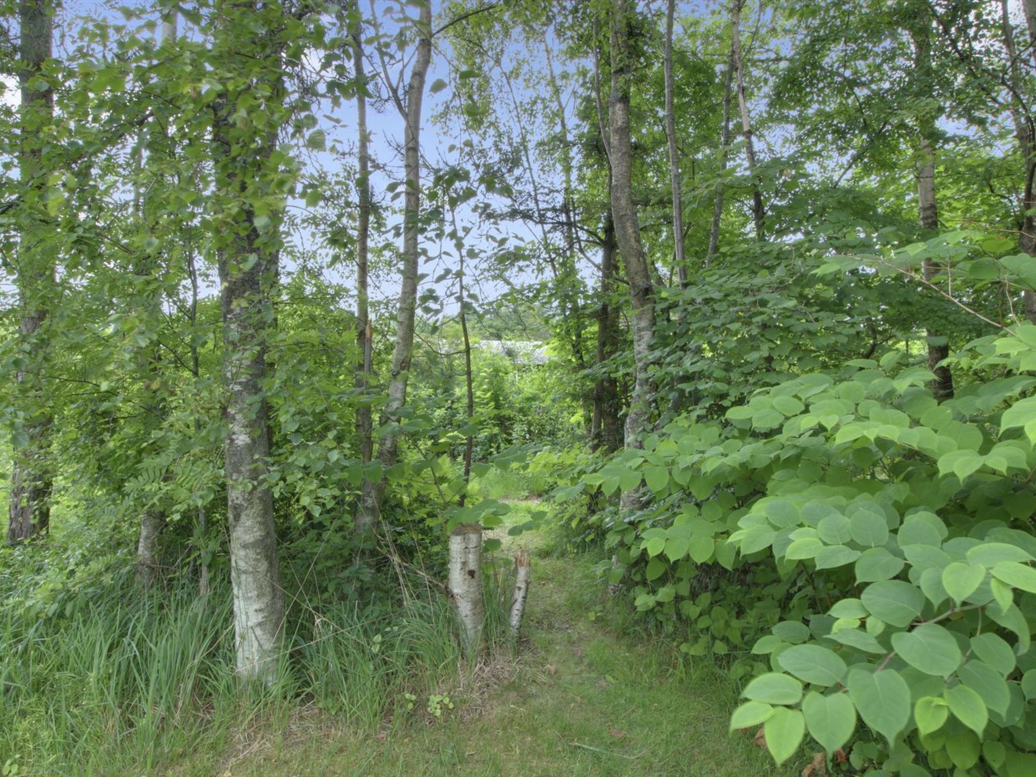 "Gerasim" - 400m from the sea - Buiten