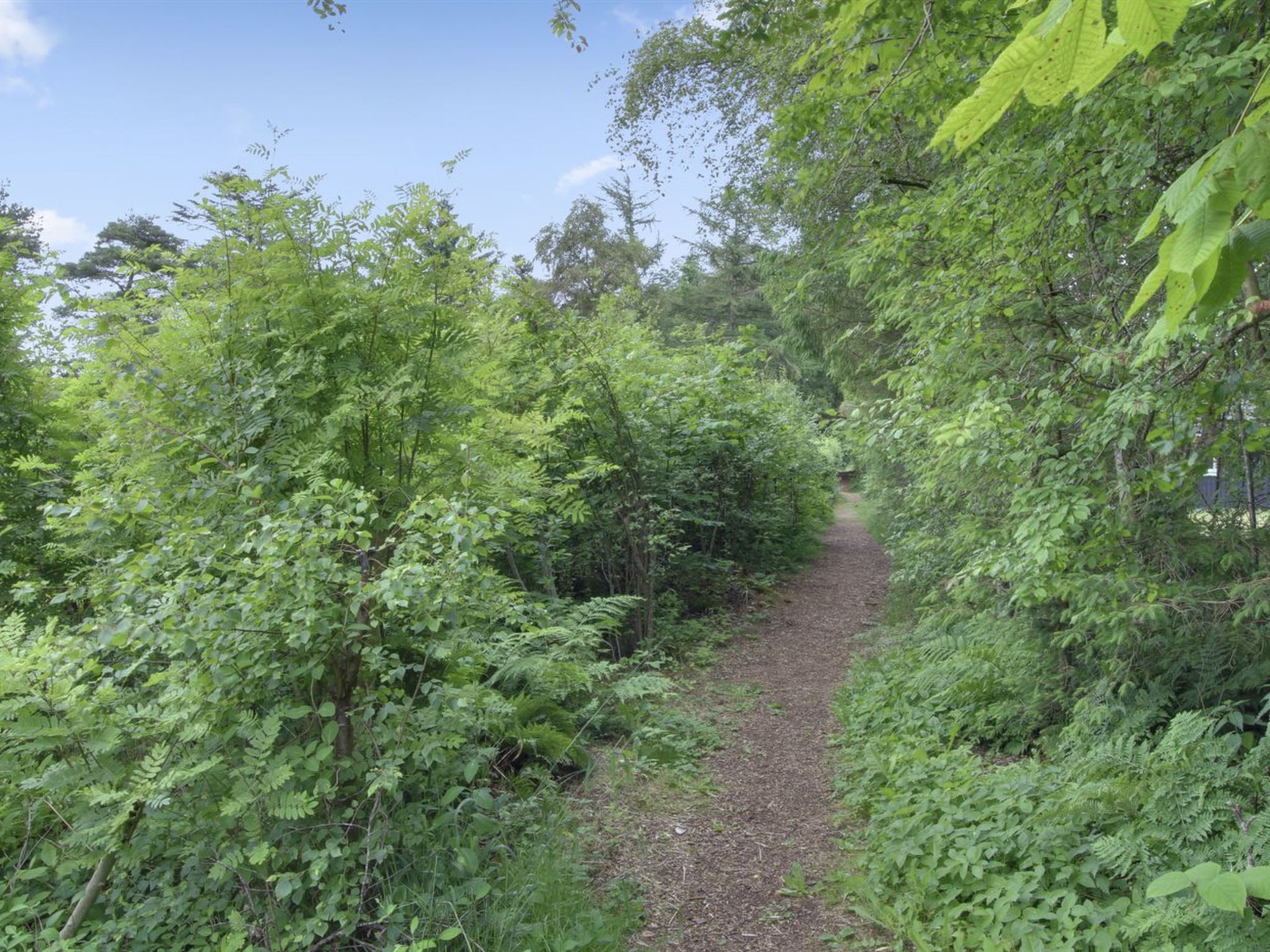 "Gerasim" - 400m from the sea - Buiten