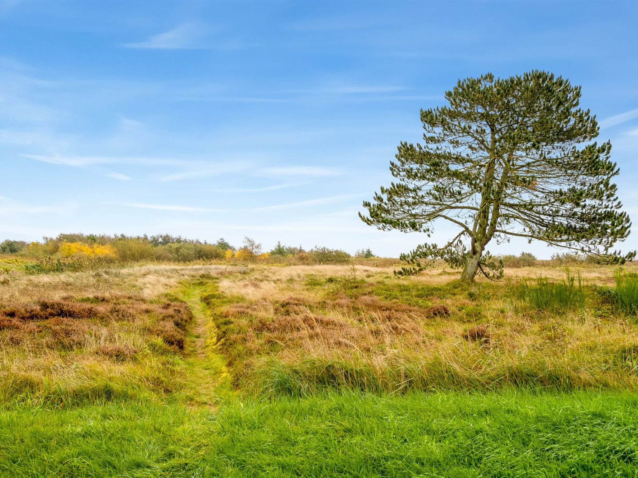 "Hejdie" - 150m from the sea - Buiten