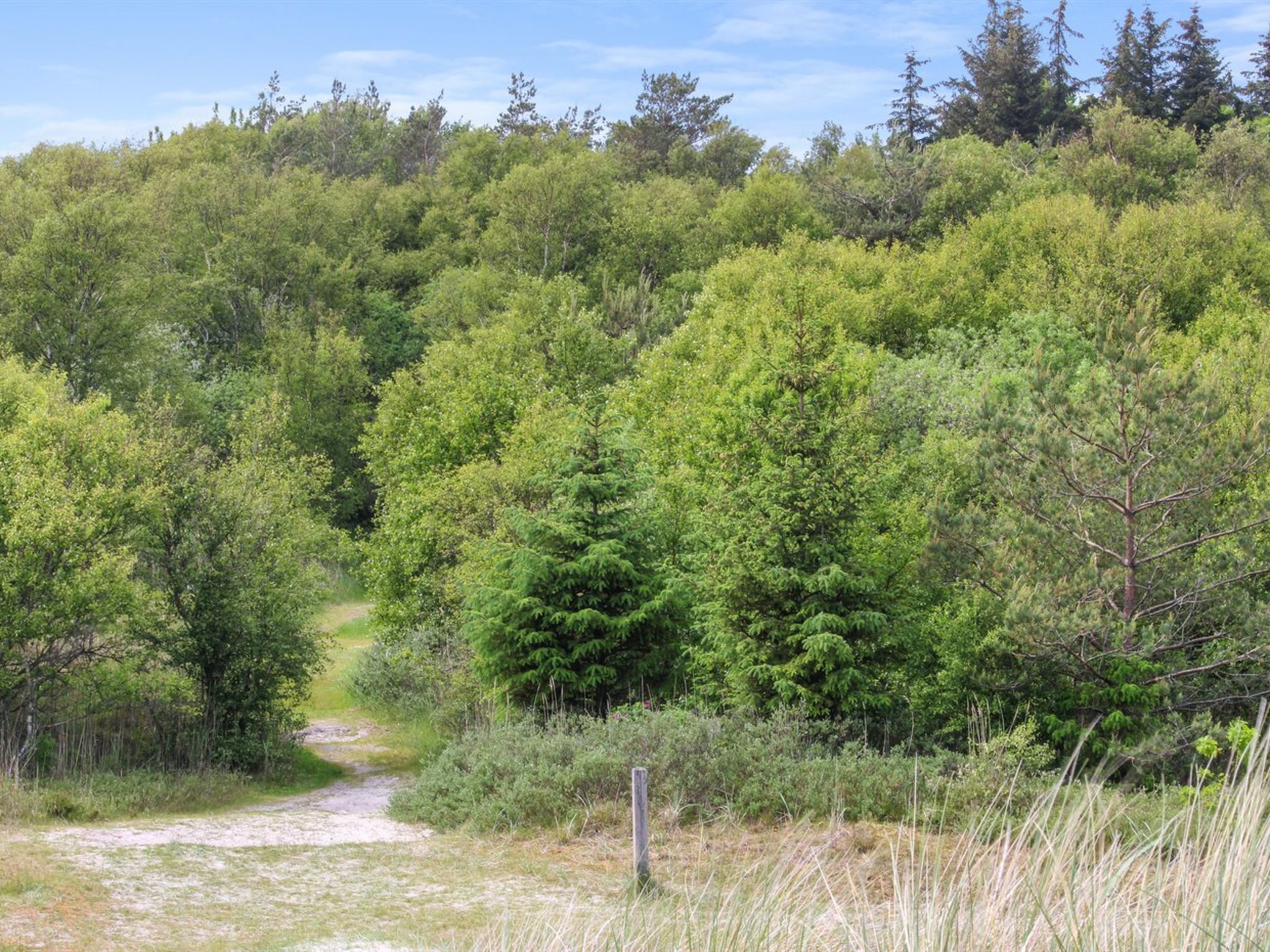 "Ingalise" - 500m from the sea - Buiten