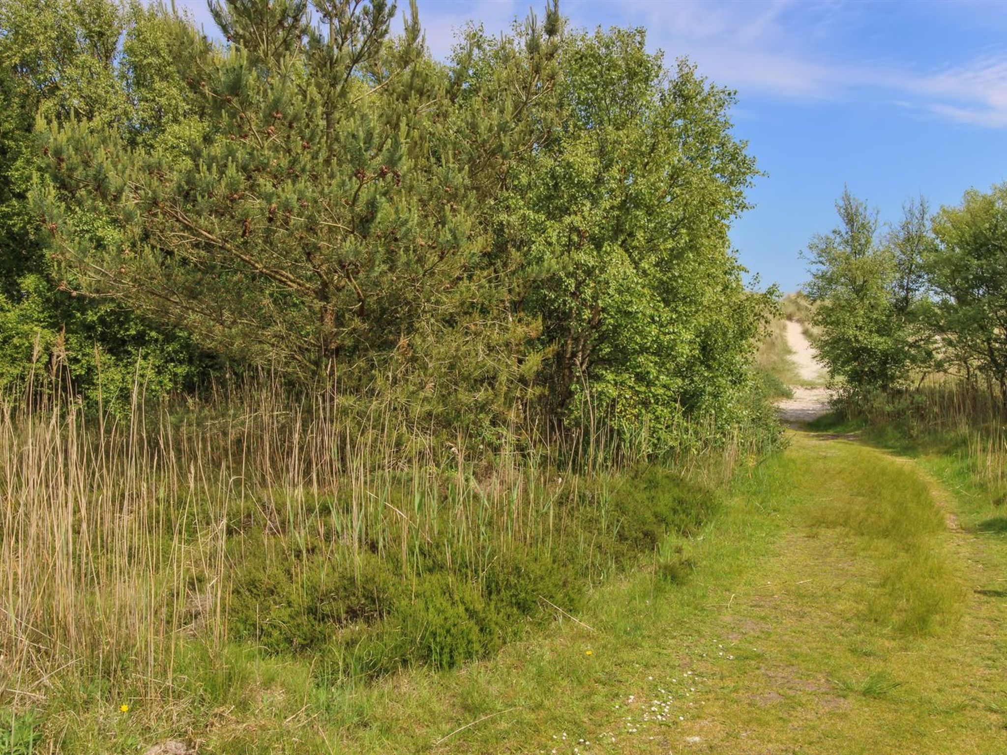 "Ingalise" - 500m from the sea - Buiten