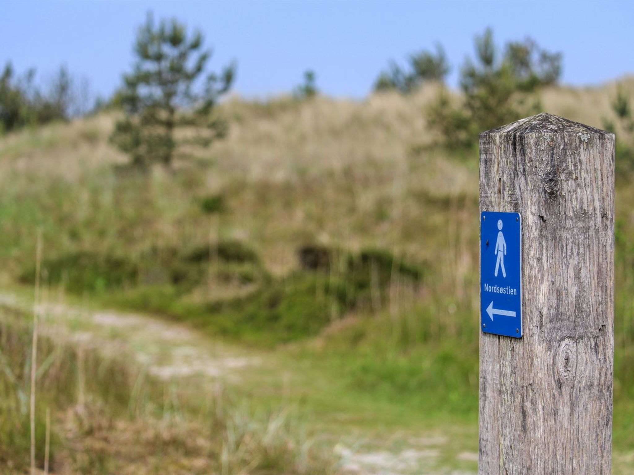 "Ingalise" - 500m from the sea - Buiten