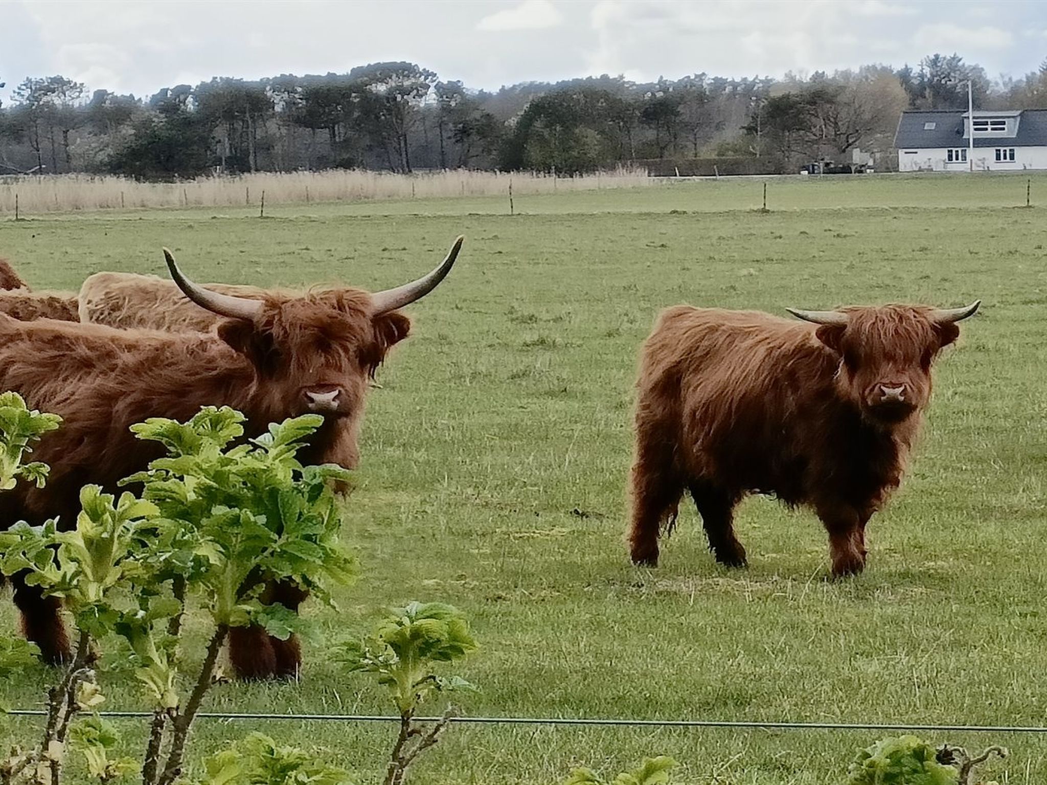 "Lenard" - 400m from the sea - Buiten
