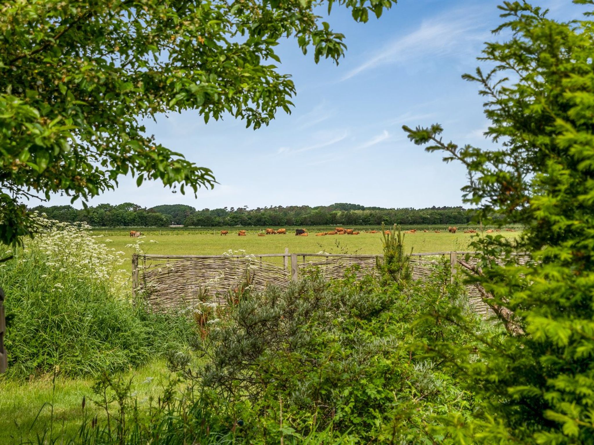 "Lenard" - 400m from the sea - Buiten