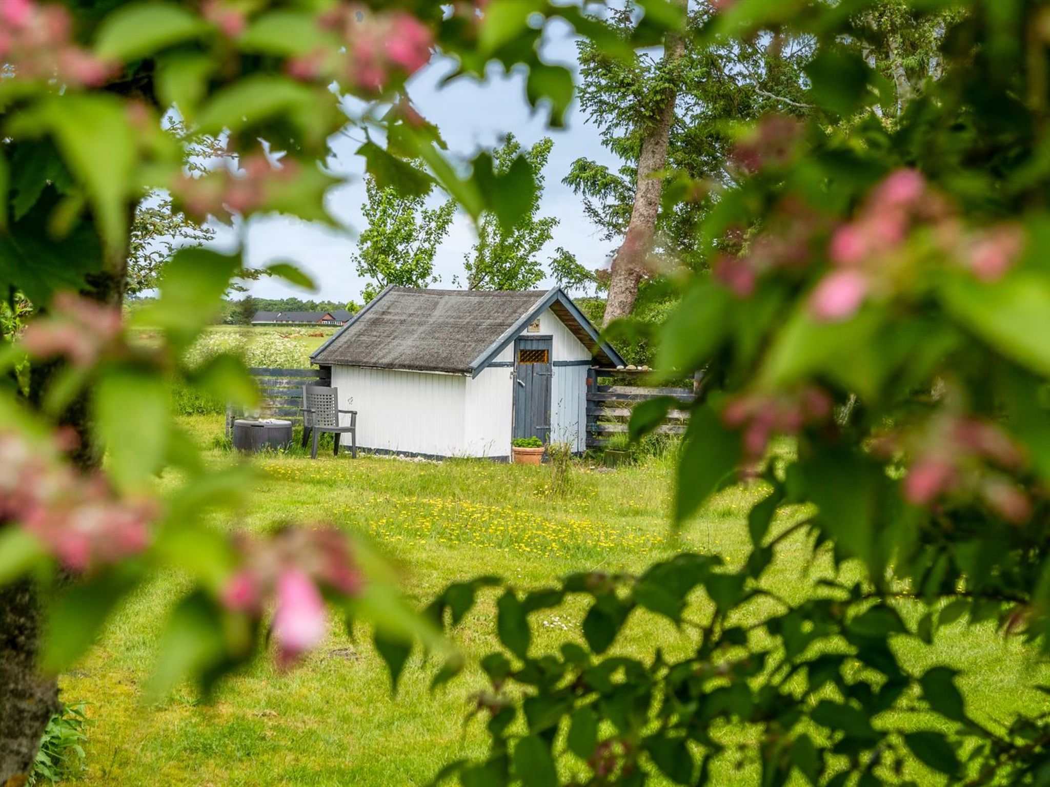 "Lenard" - 400m from the sea - Buiten
