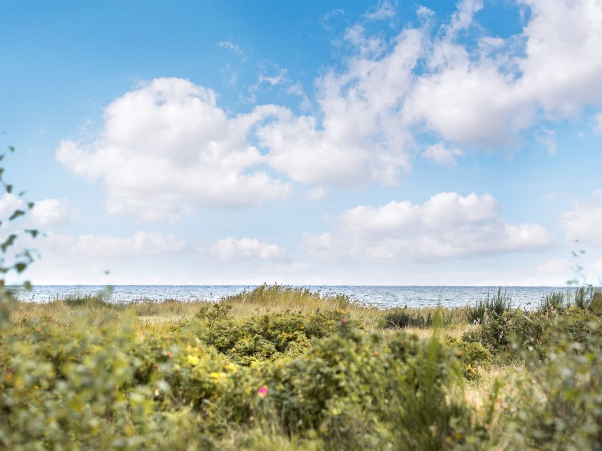 "Mumme" - 100m from the sea