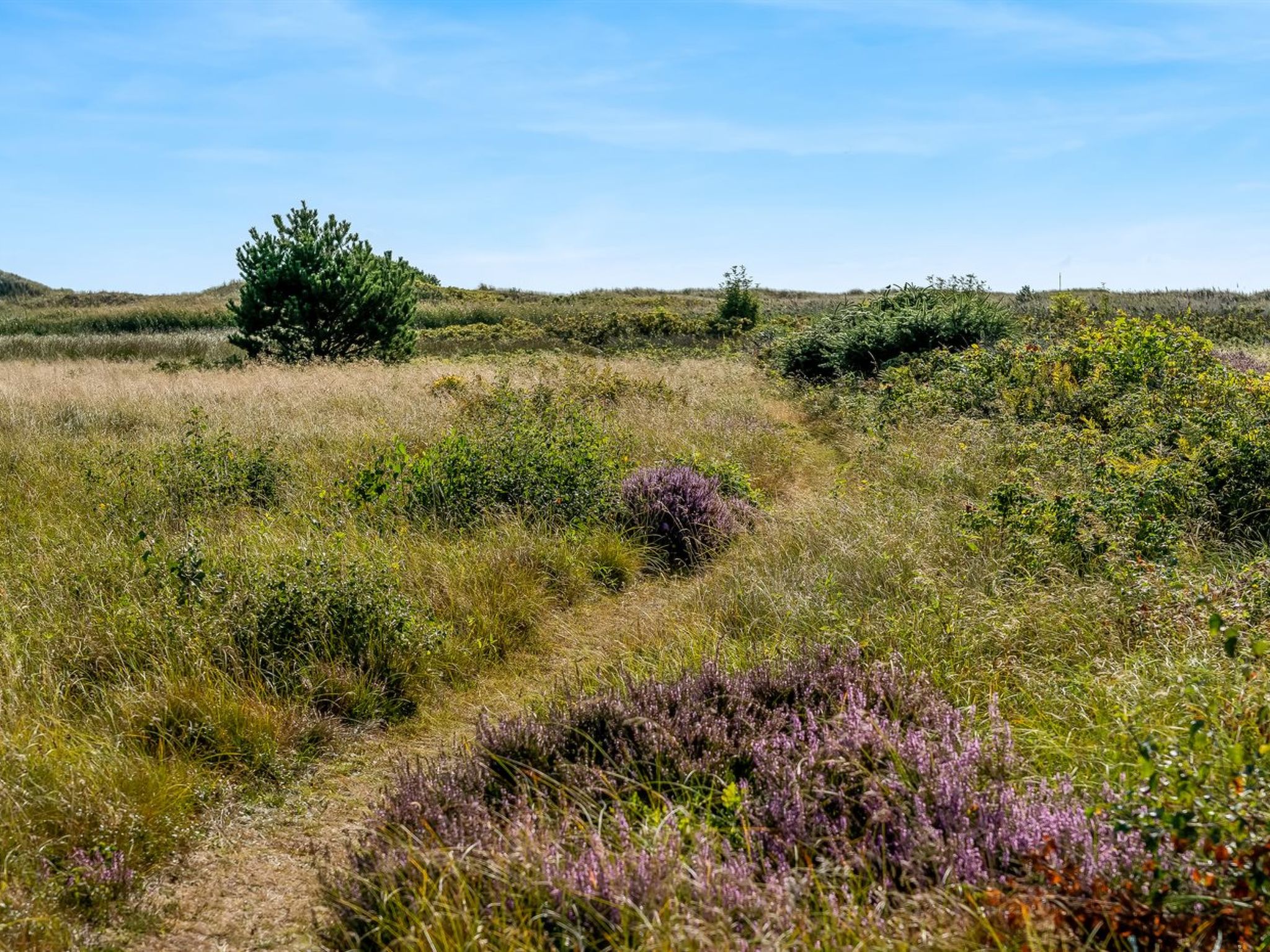Maison "Mumme" - 100m from the sea – Environs, photo 25 sur 30