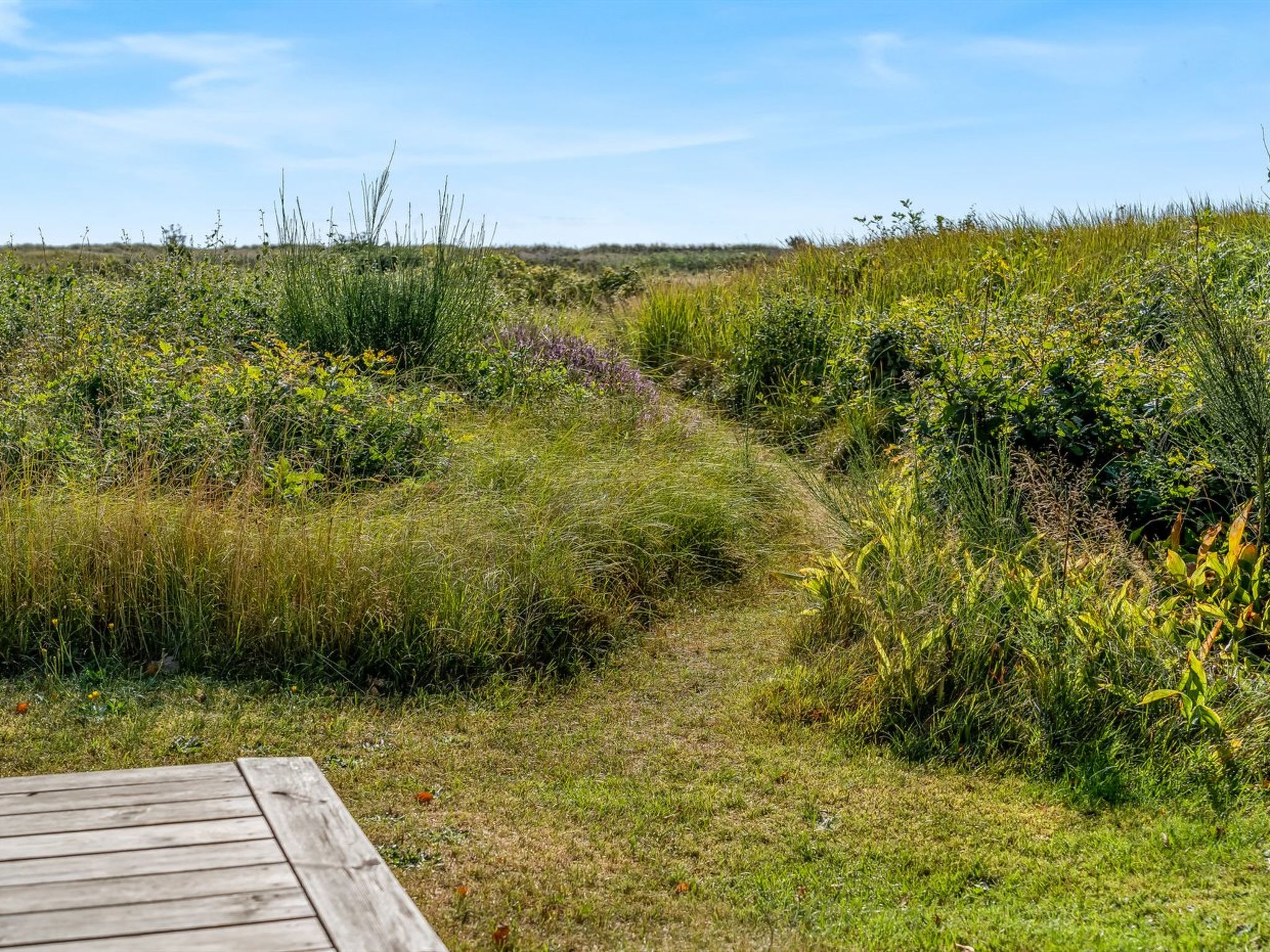 "Mumme" - 100m from the sea - Draußen