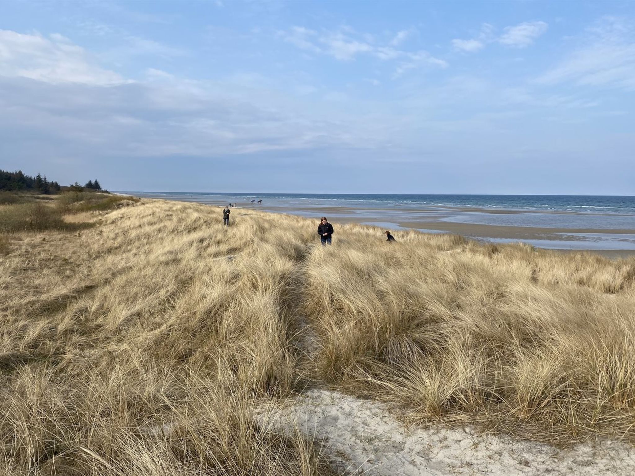 "Kajo" - 800m from the sea-Buiten