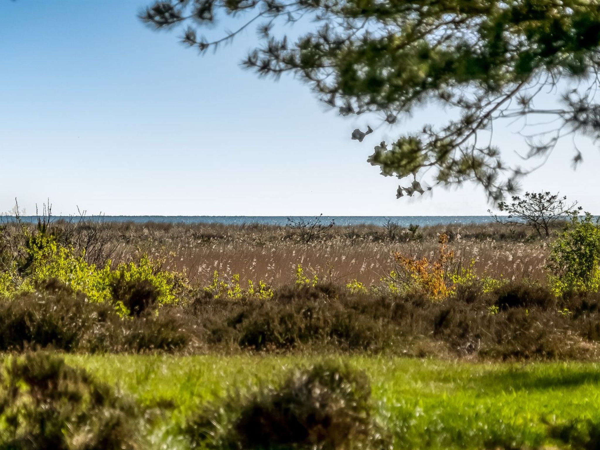 "Annestine" - 200m from the sea