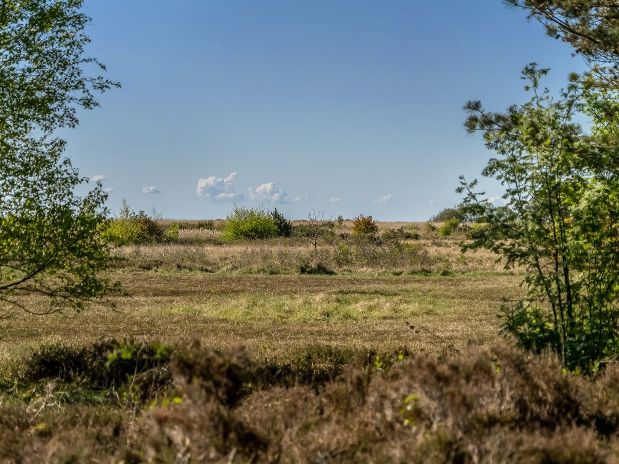 "Annestine" - 200m from the sea