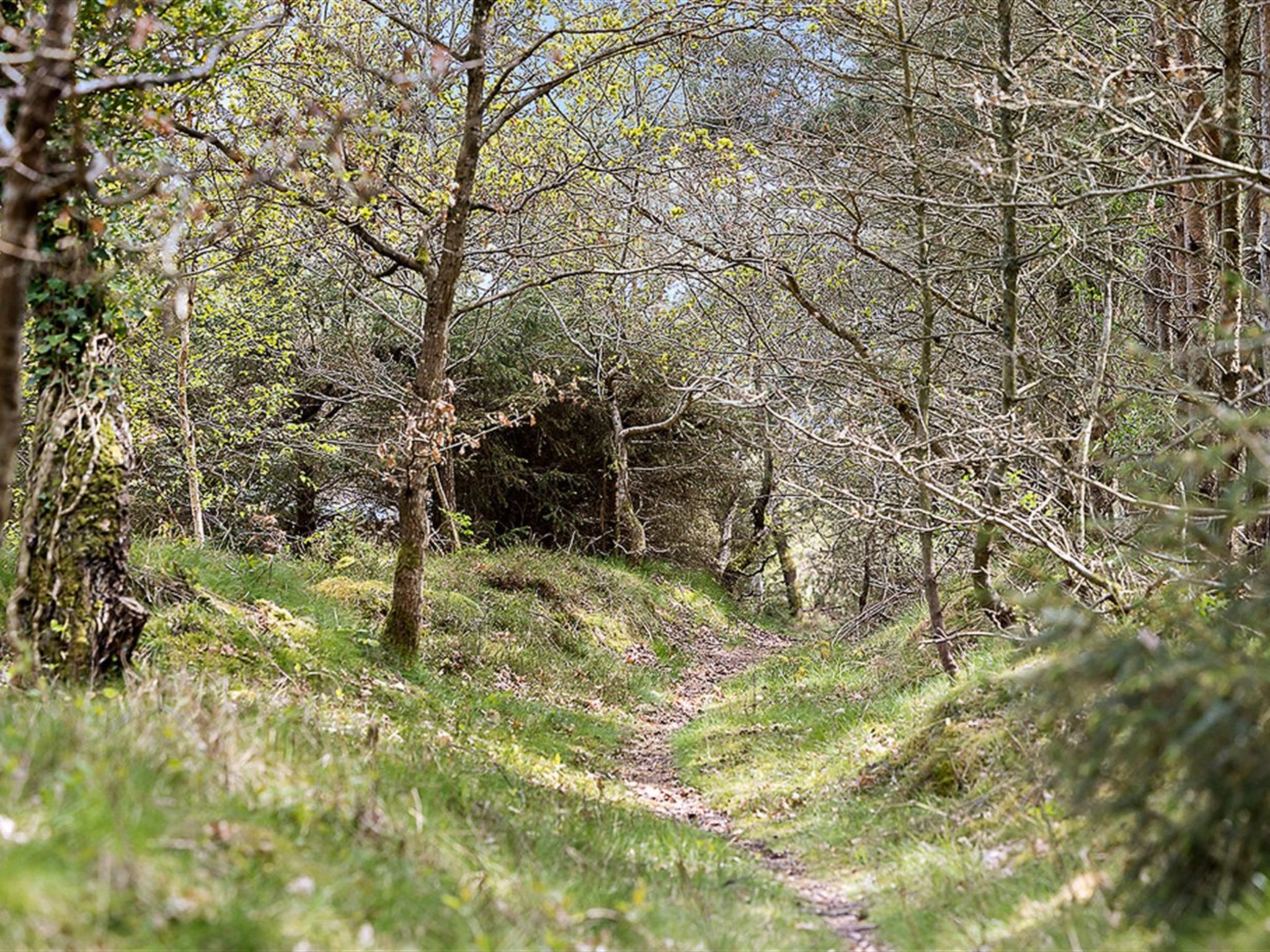 "Amabel" - 200m from the sea-Buiten