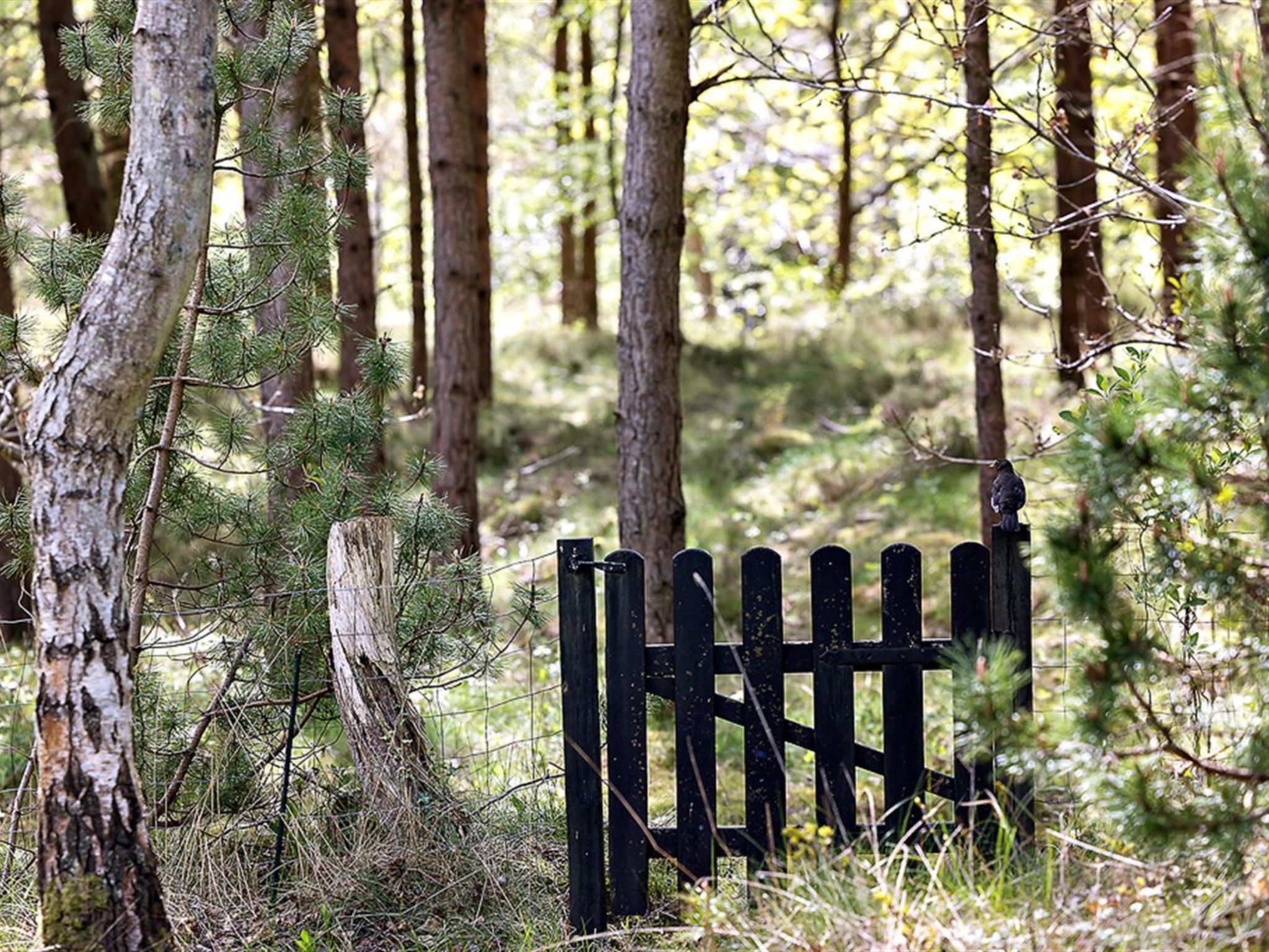 "Amabel" - 200m from the sea-Buiten