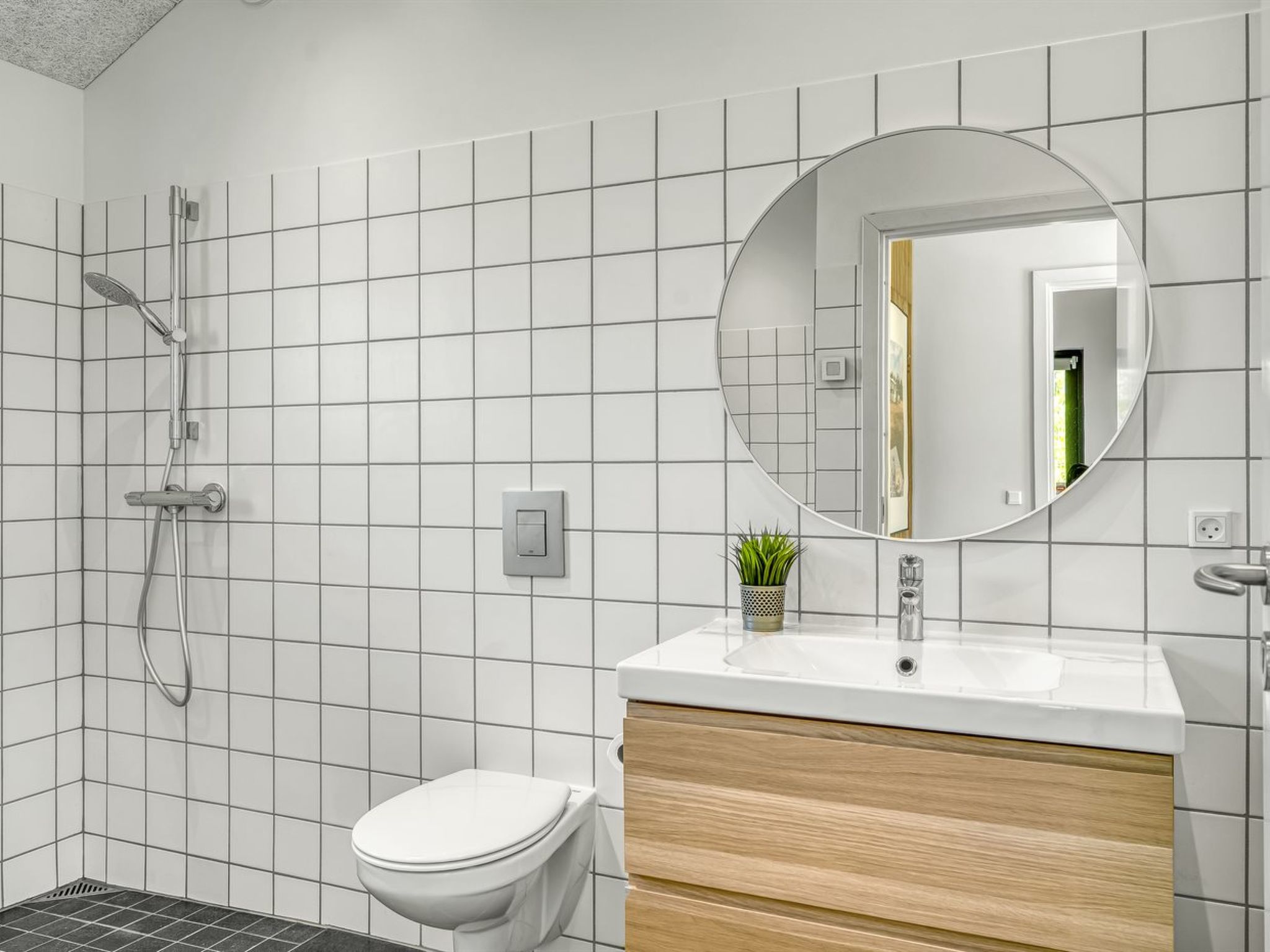 Photo of "Alfrede" -  from the sea