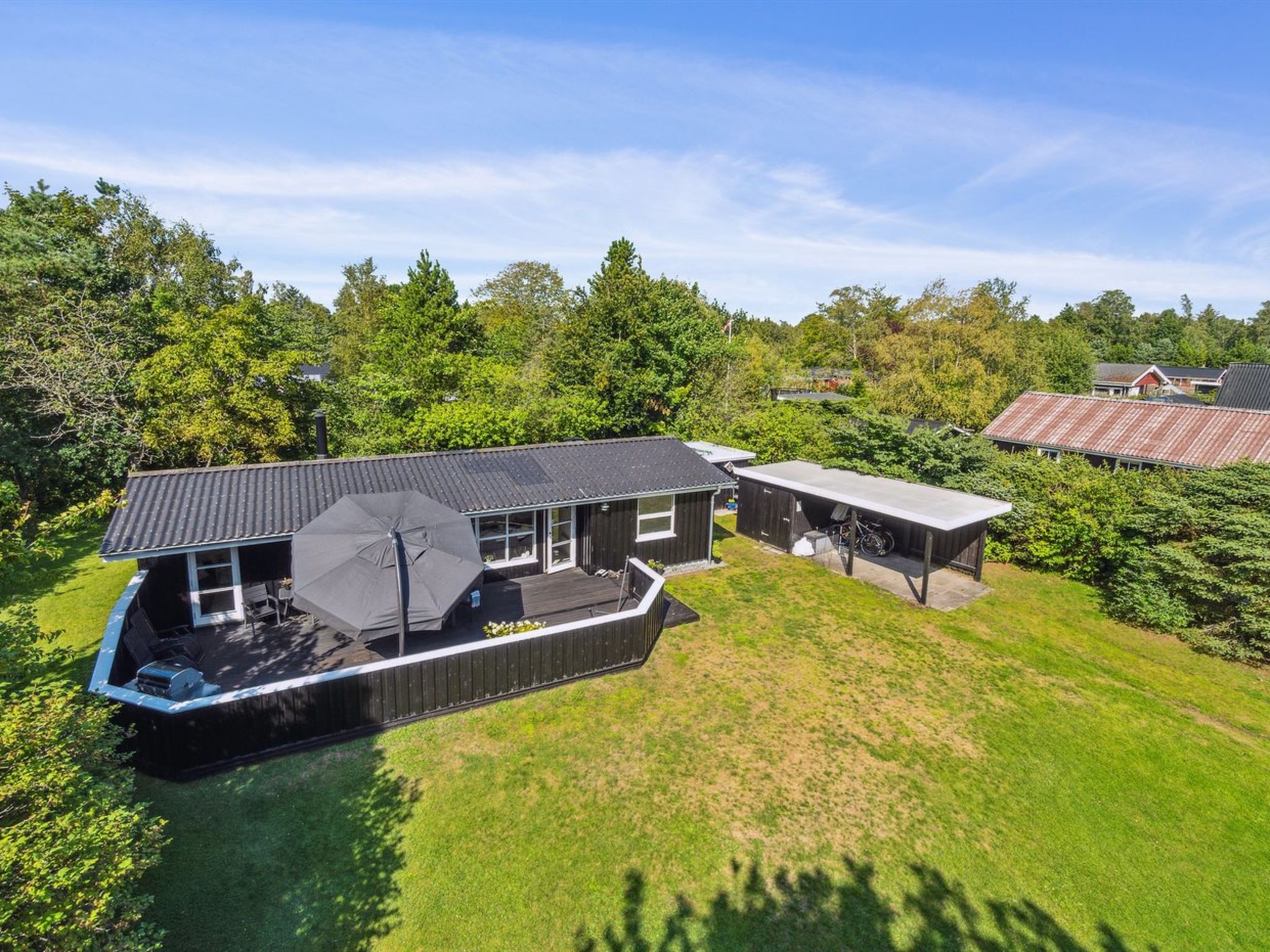 "Felippa" -  from the sea