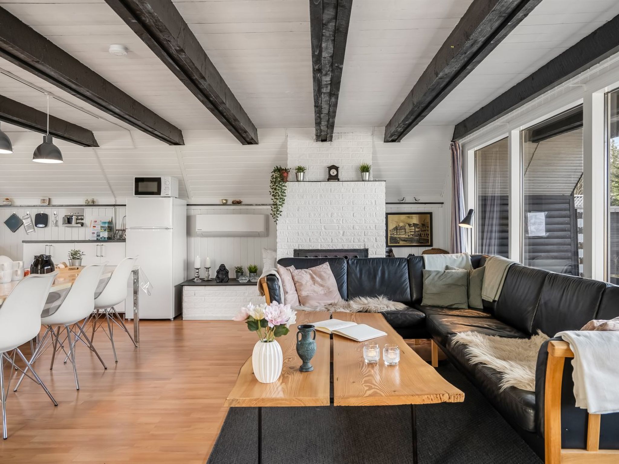 Photo of "Jace" - 900m from the sea