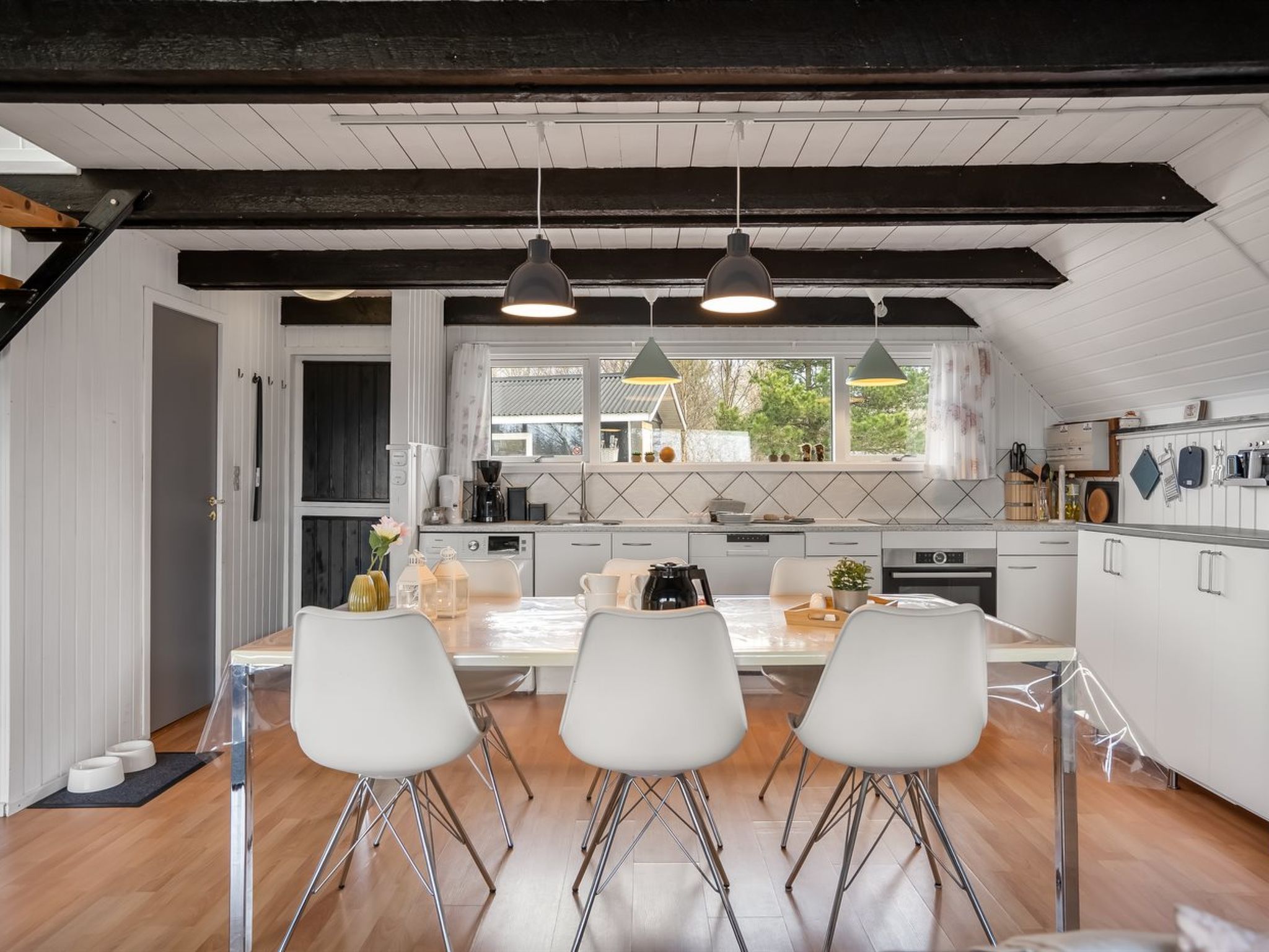 Photo of "Jace" - 900m from the sea