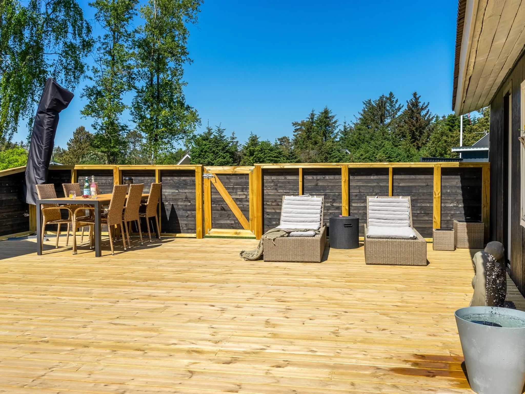 Photo of "Jace" - 900m from the sea