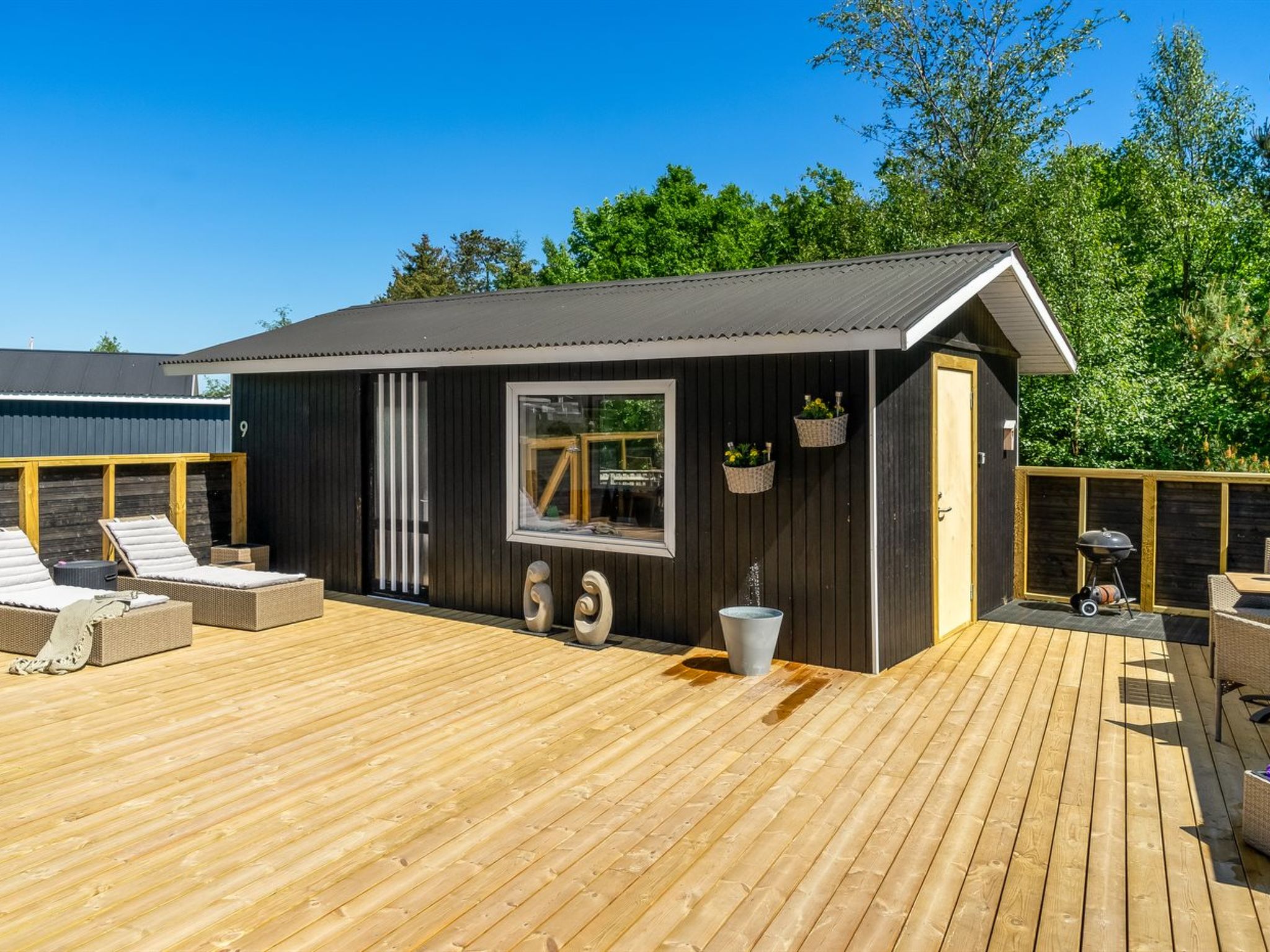 Photo of "Jace" - 900m from the sea