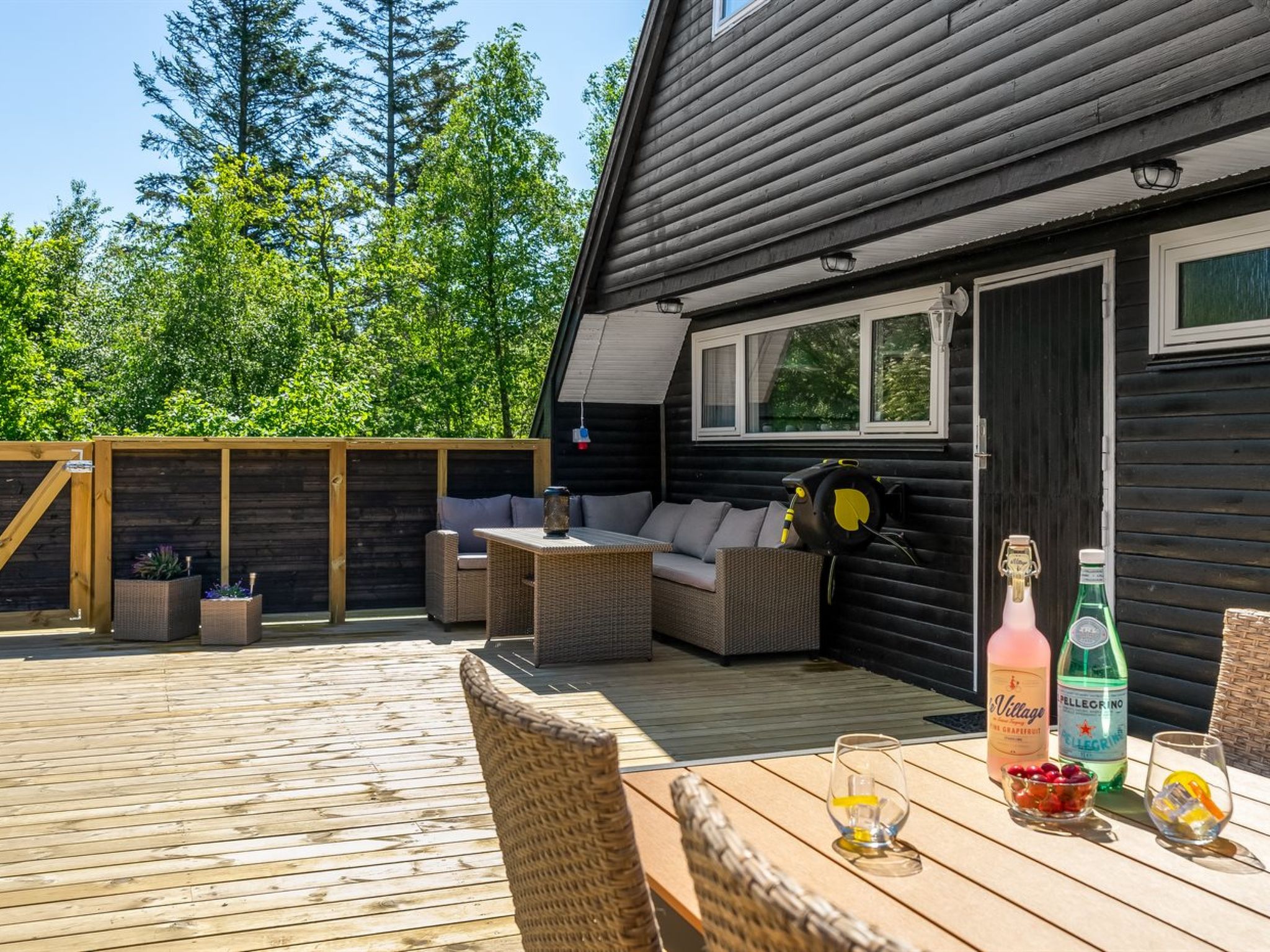 Photo of "Jace" - 900m from the sea