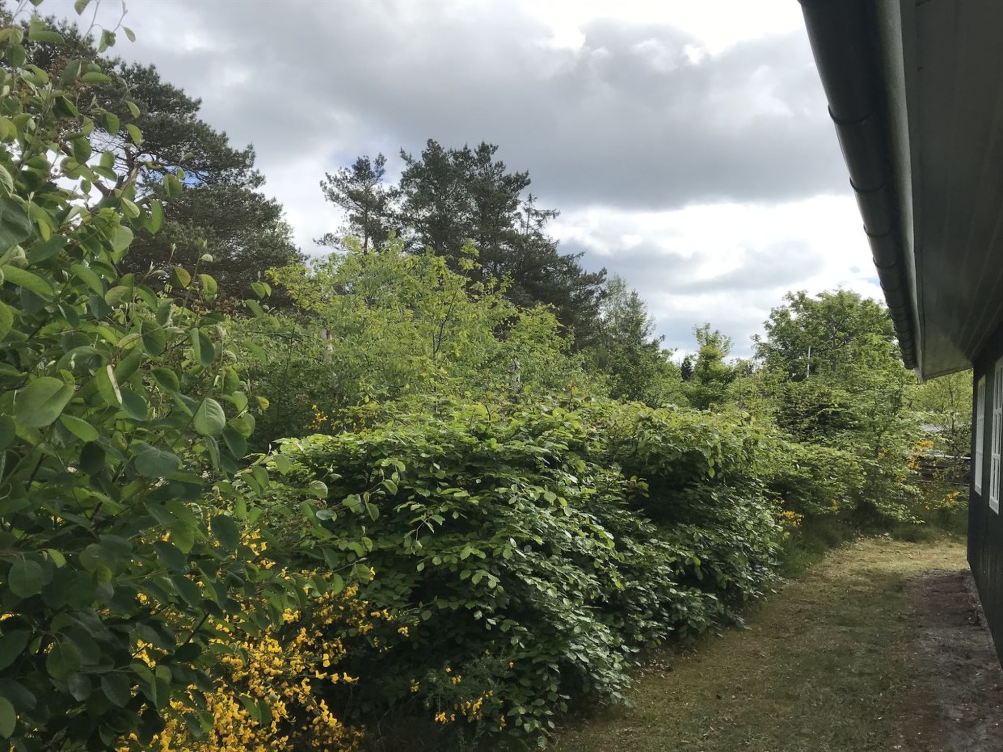 "Niyazi" - 770m from the sea-Buiten
