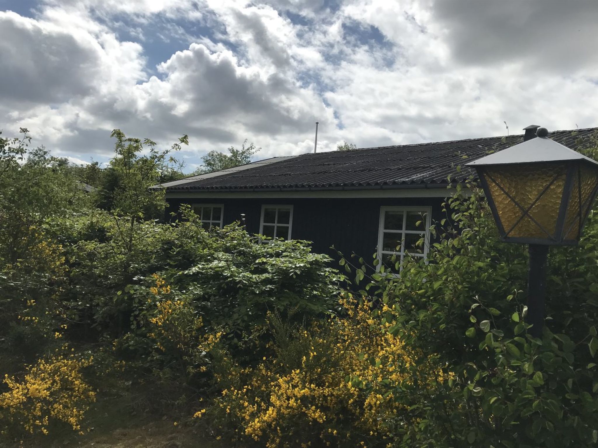 "Niyazi" - 770m from the sea - Buiten