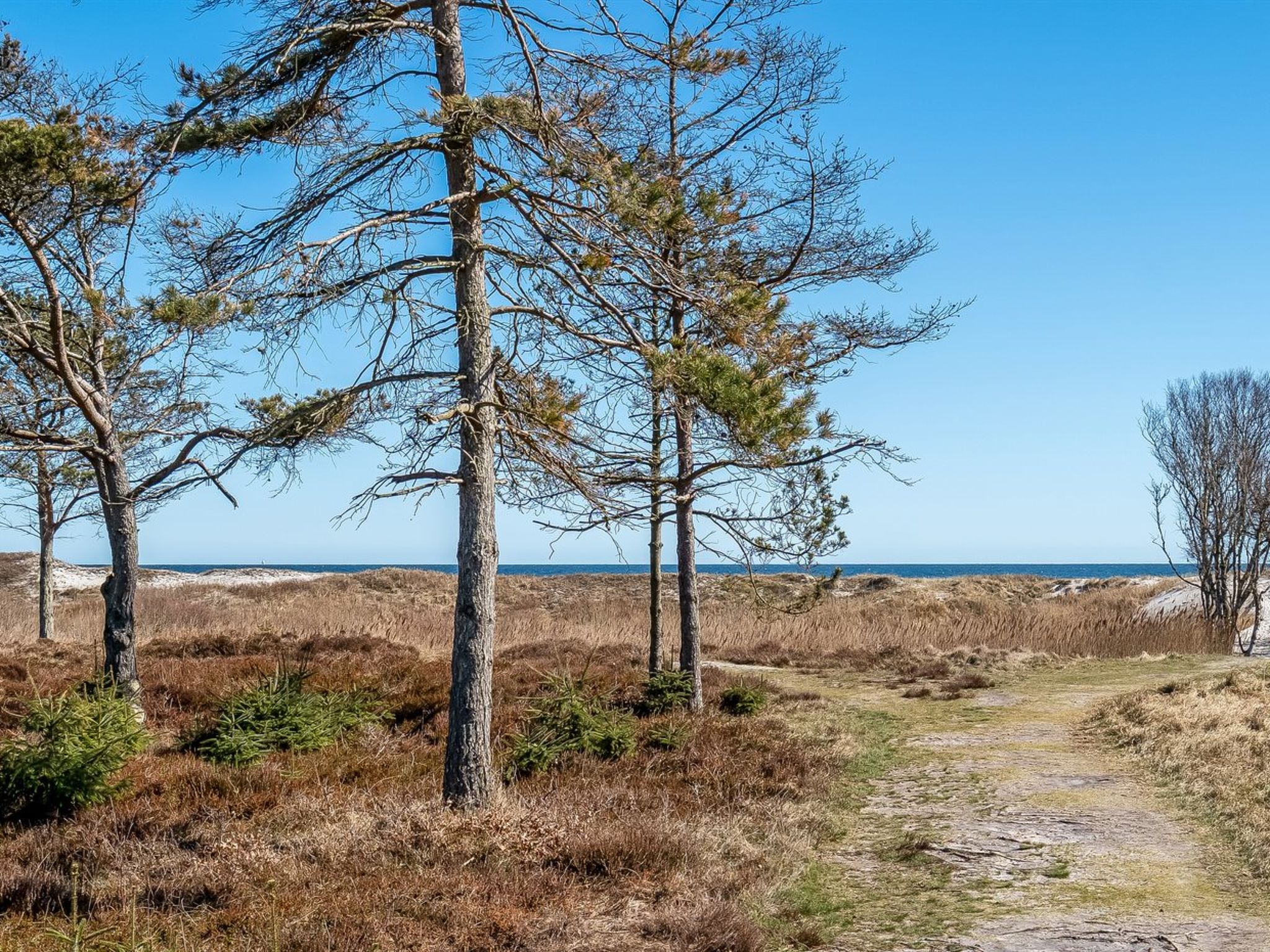 "Elnur" -  from the sea - Buiten