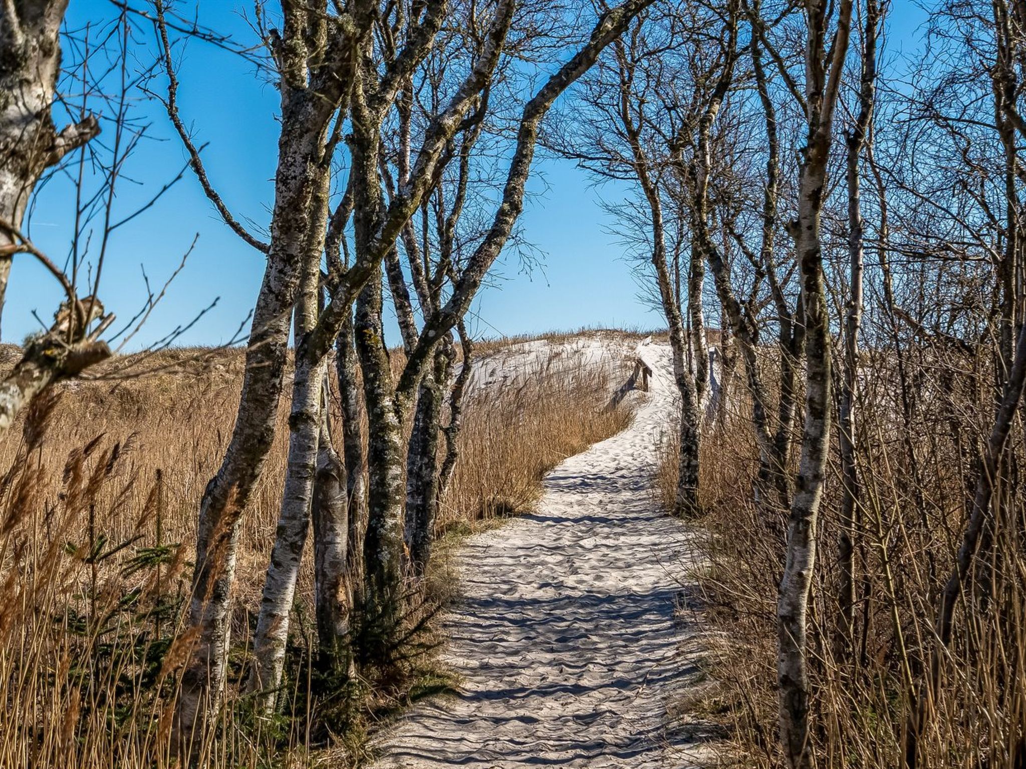 "Elnur" -  from the sea - Buiten