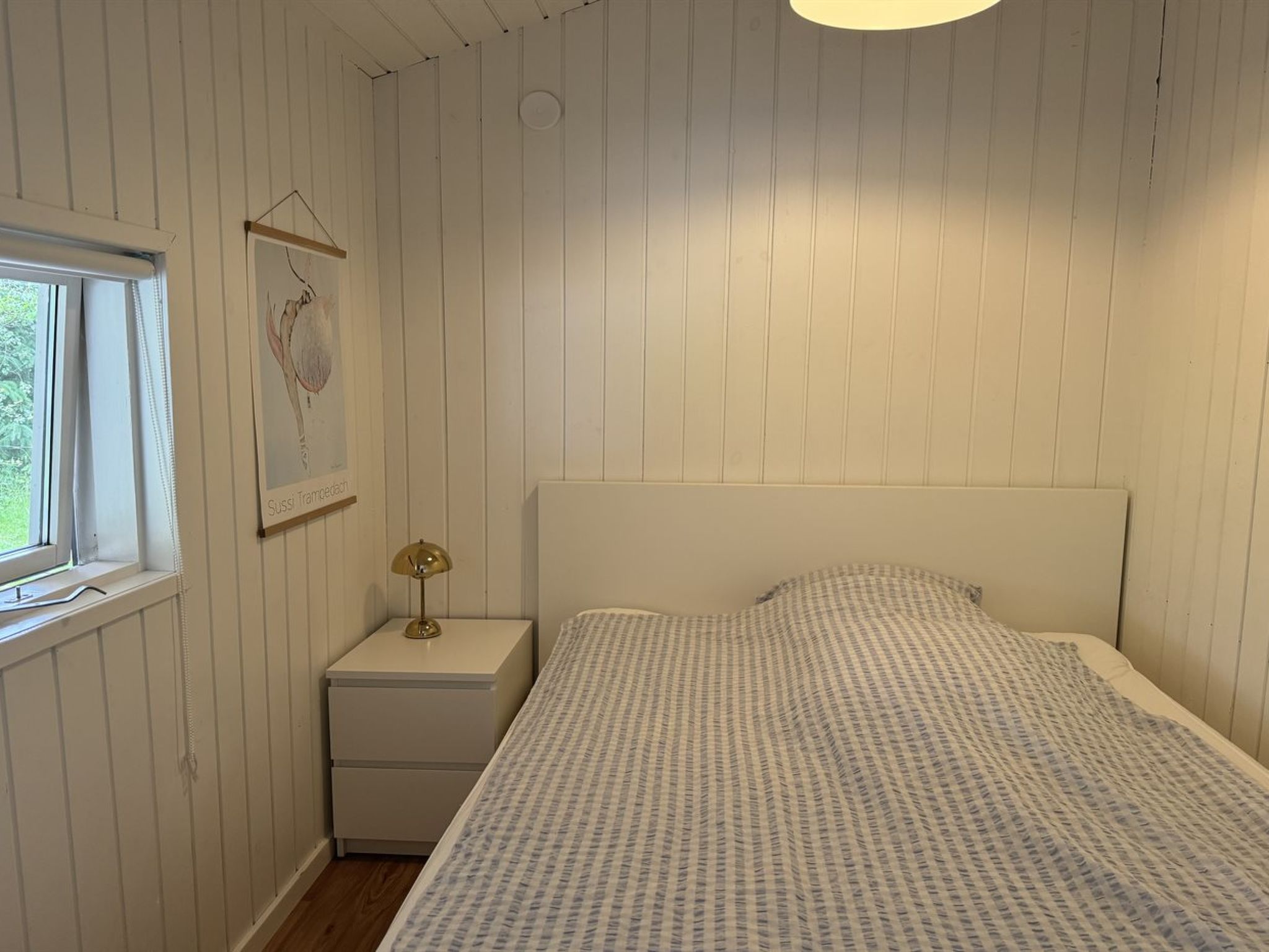 Photo of "Elnur" -  from the sea