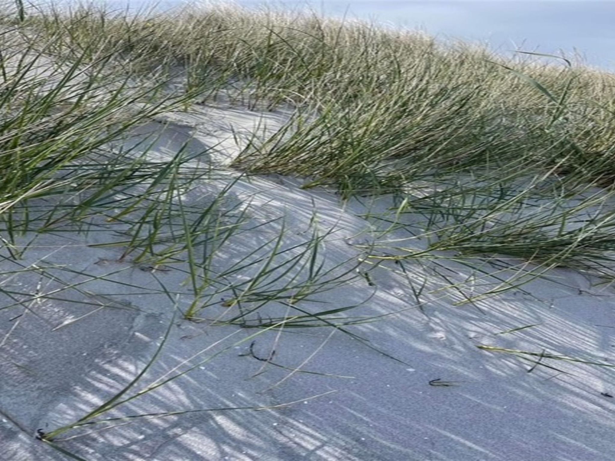 "Frederikka" - 1.9km from the sea - Buiten