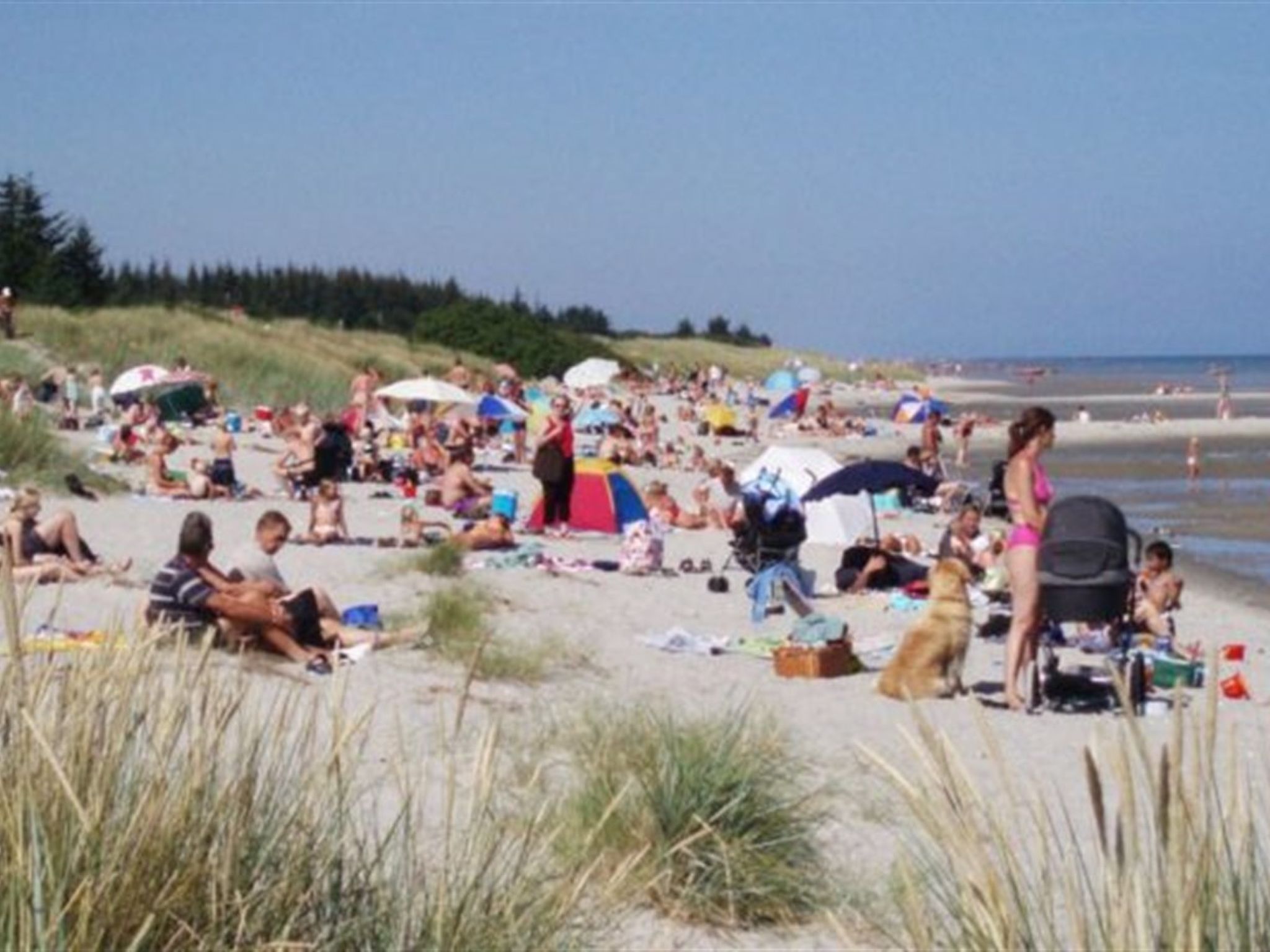 "Smilla" - 1.1km from the sea - Buiten