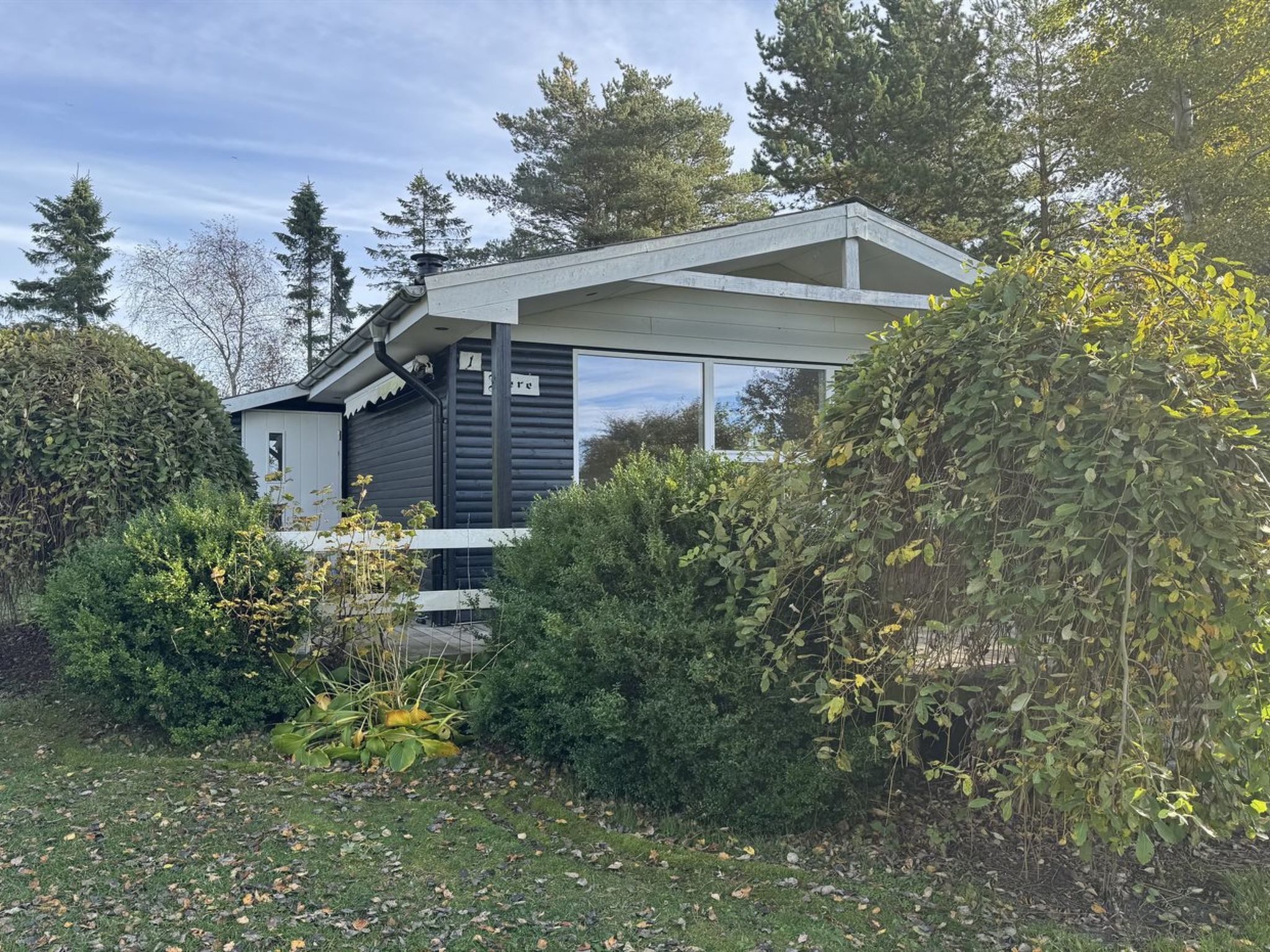 'Felicia' -  from the sea